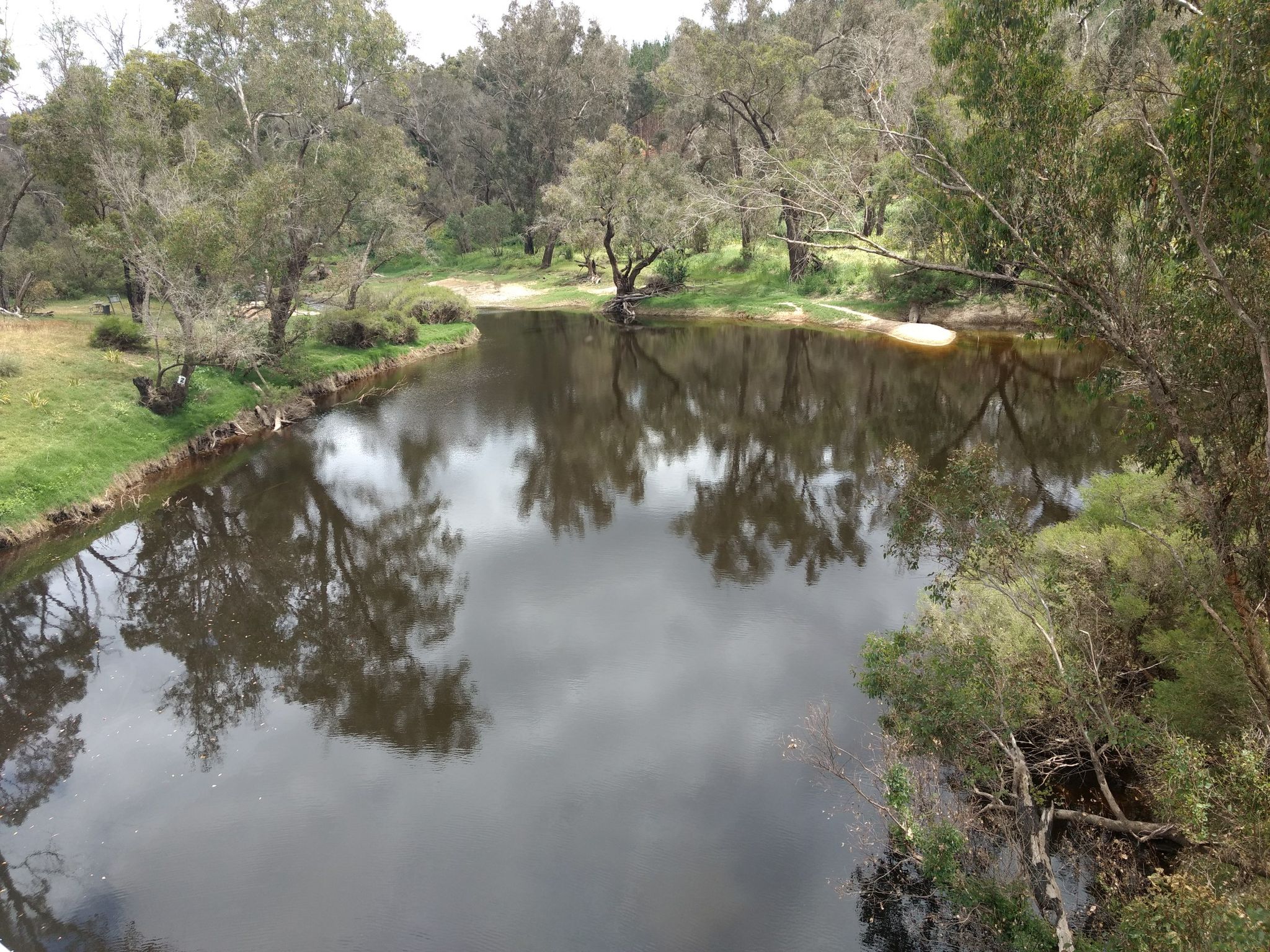 Blackwood  River Downstream at Maranup