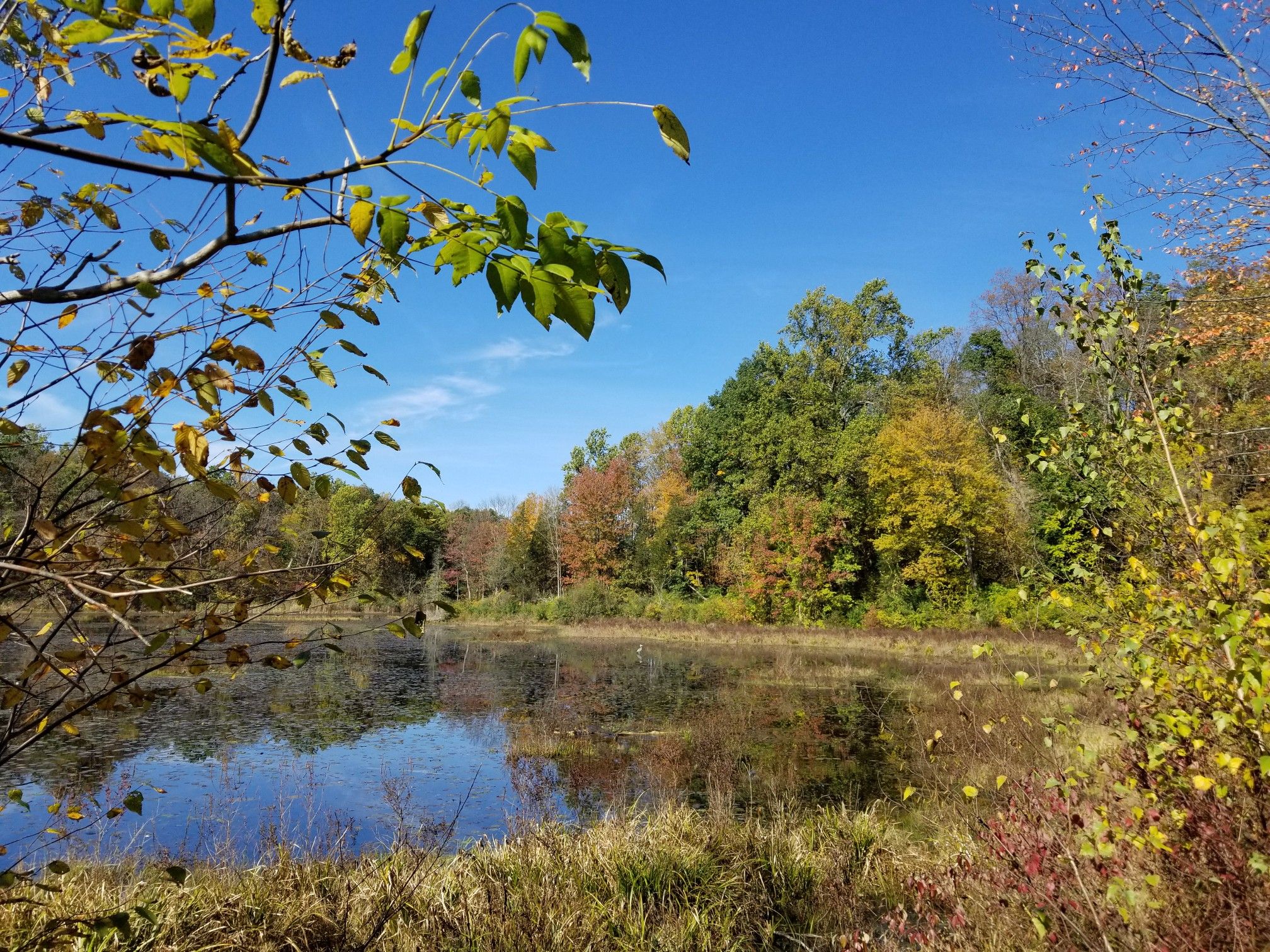 Calm lake reflecting autumn trees under a clear blue sky. - Sussex Branch Trail – Paulinskill Valley Trail loop from Newton