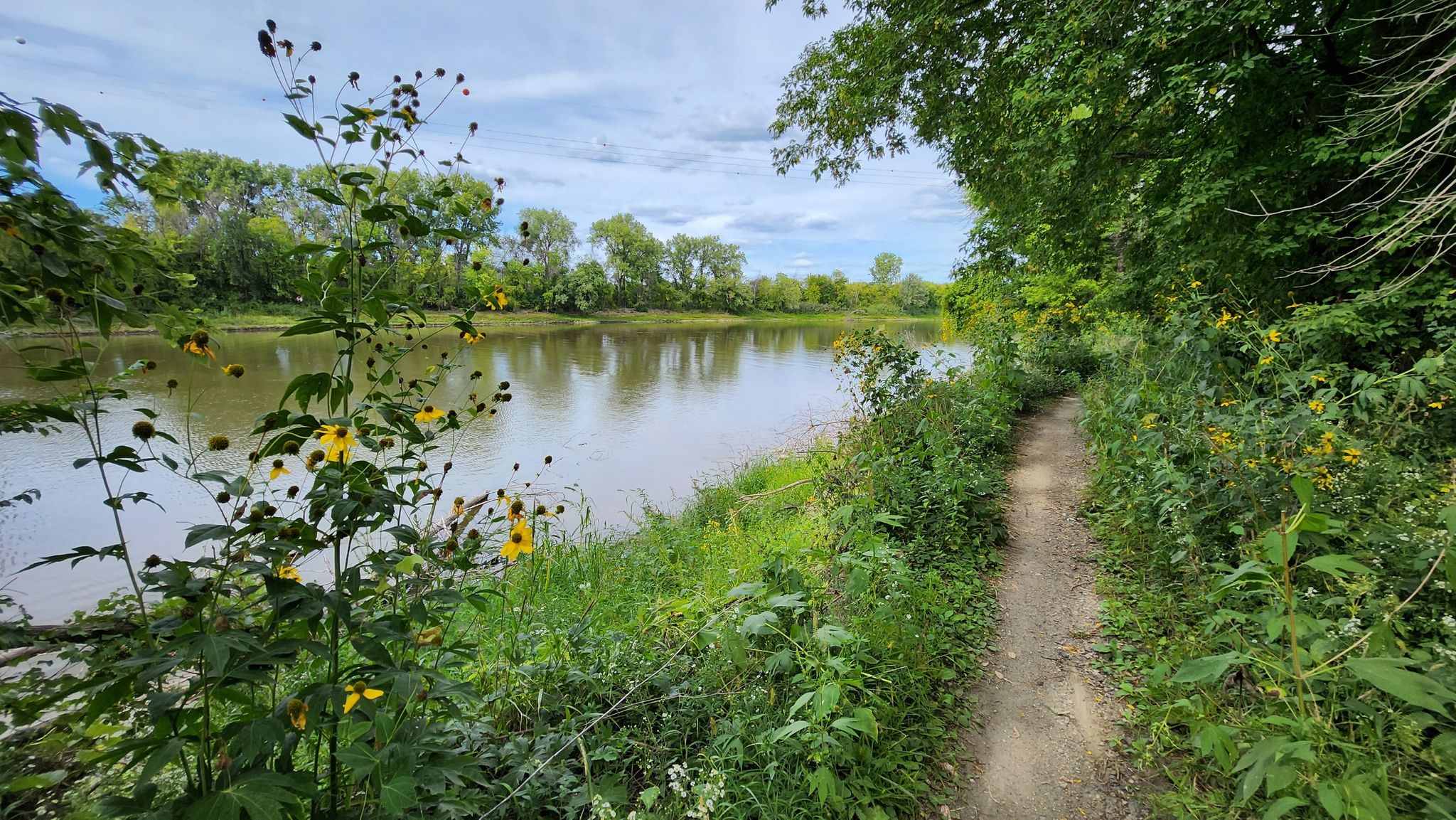 A narrow dirt path next to a river, surrounded by lush green plants. - Mendota Trail