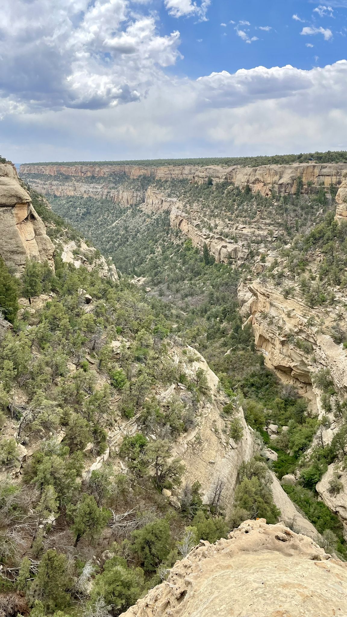 Deep, green canyon with rocky cliffs under a cloudy sky, seen from above. - Cliff Palace Loop Trail