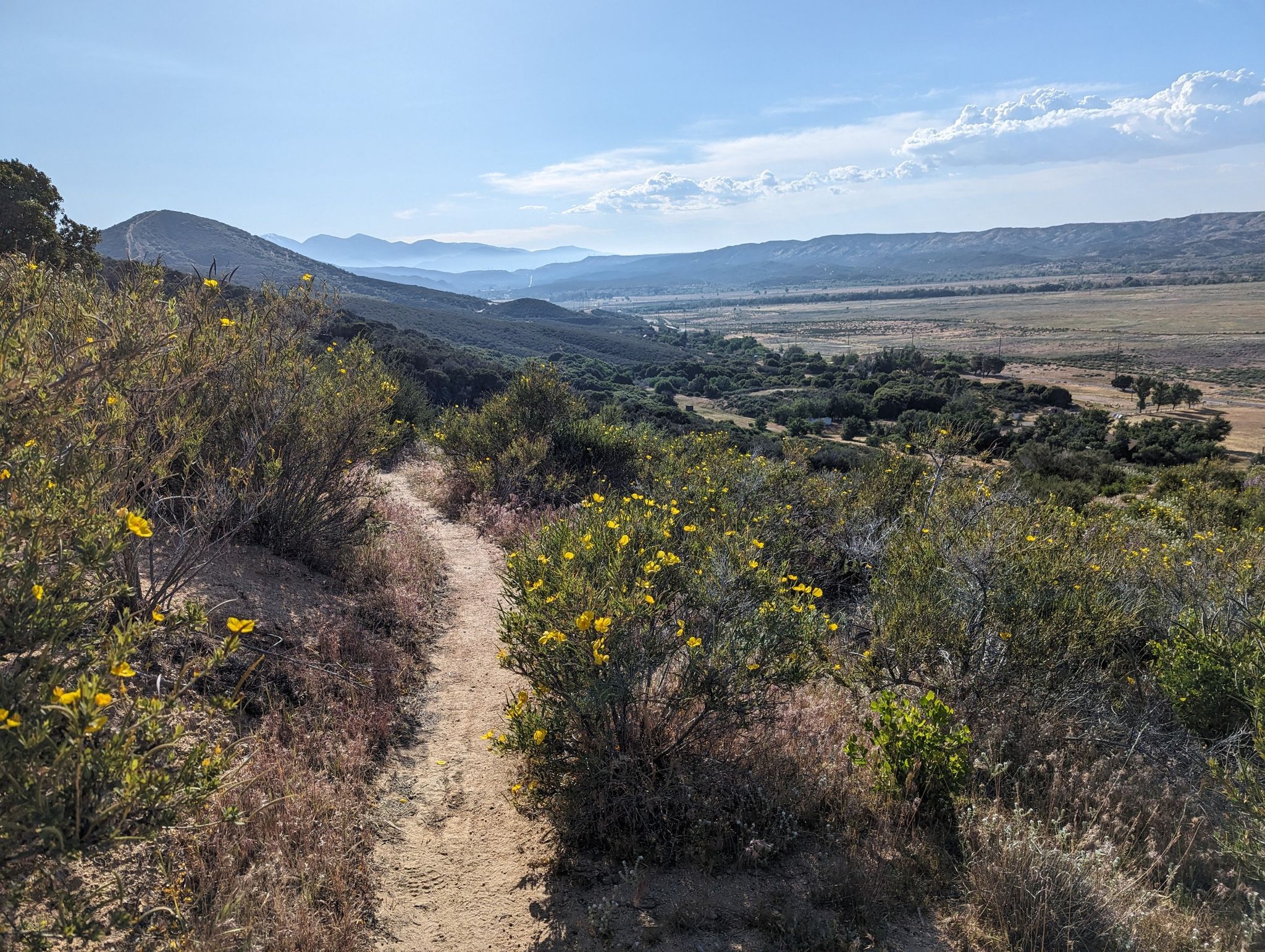 A dirt trail winds through arid hills with yellow flowers, overlooking a vast valley. - Pacific Crest Trail: Mojave River to Silverwood Lake
