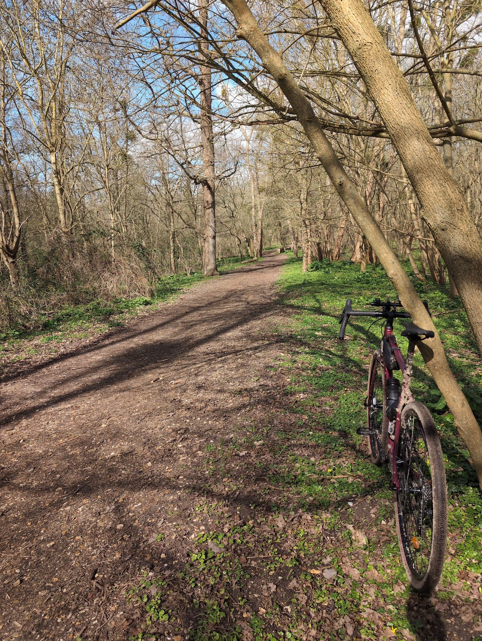 Bois de Cergy