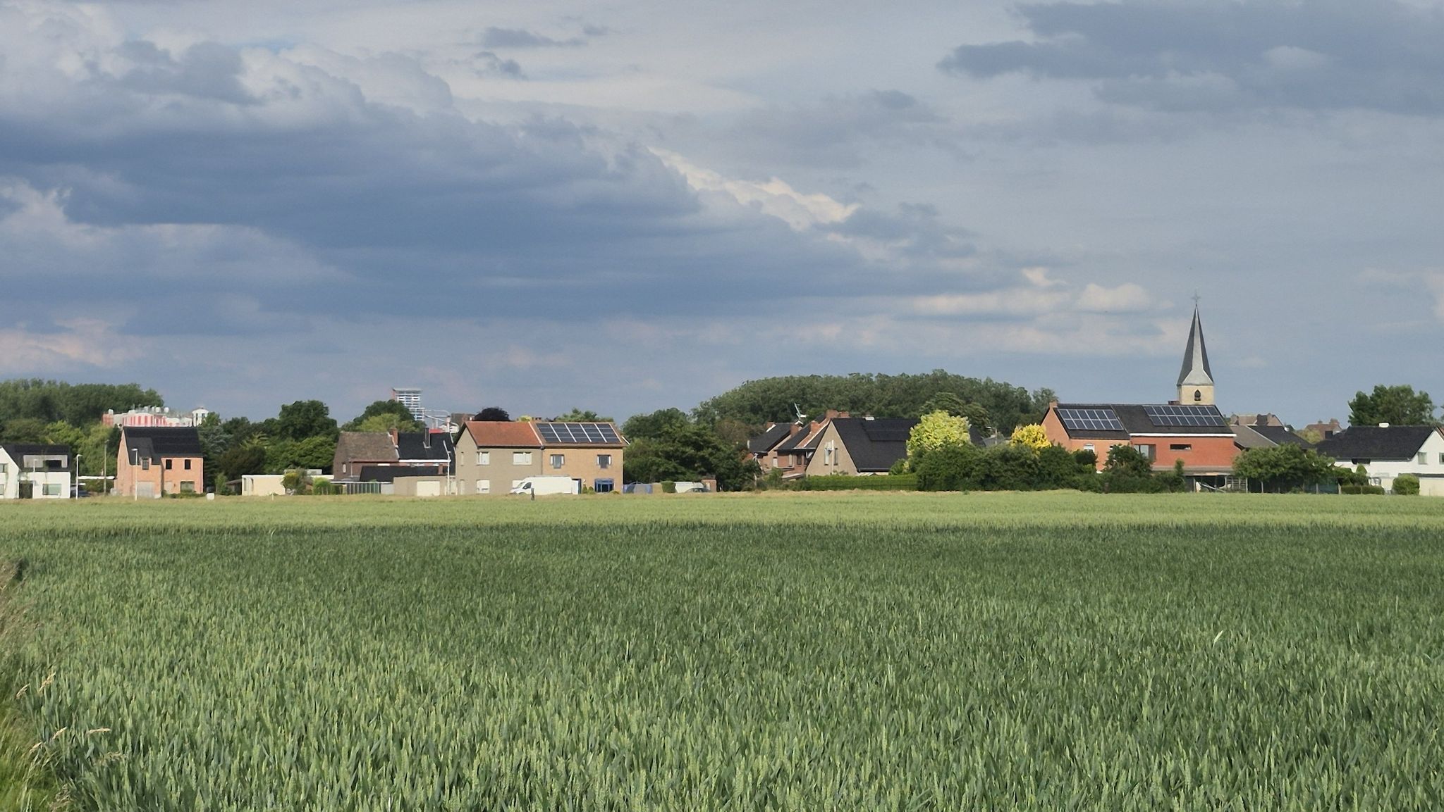 Alken