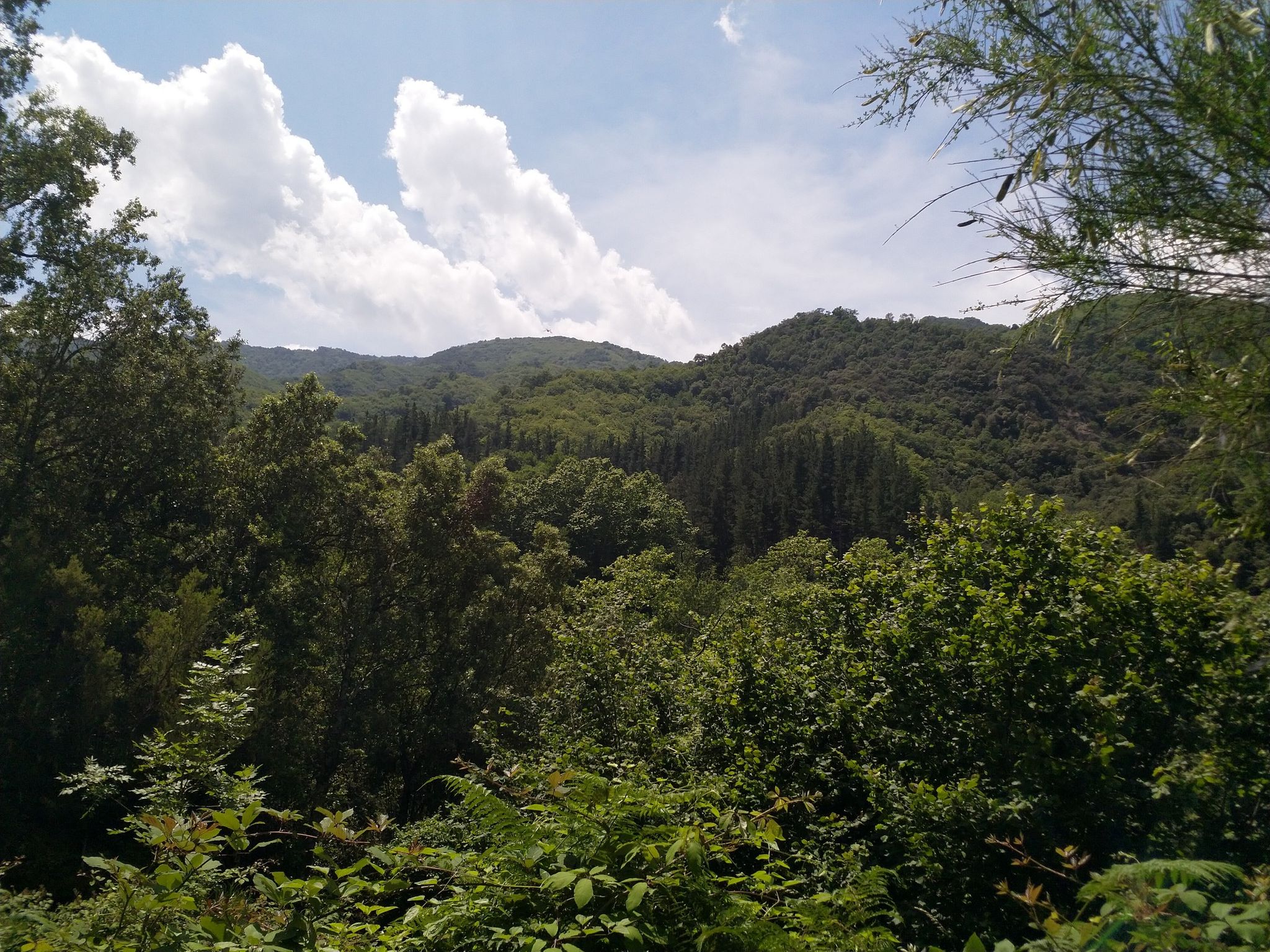 Panorama