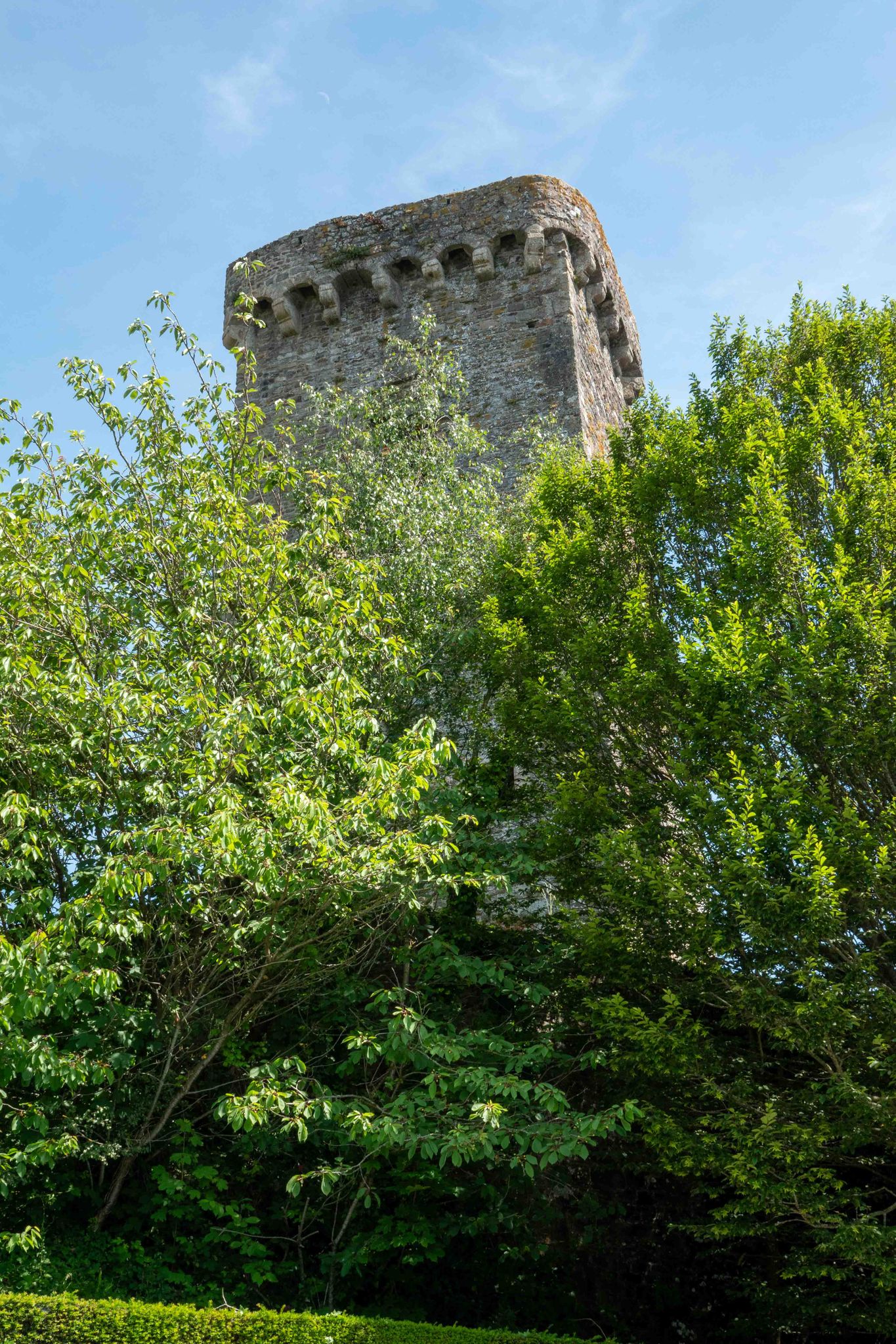Donjon van het kasteel
