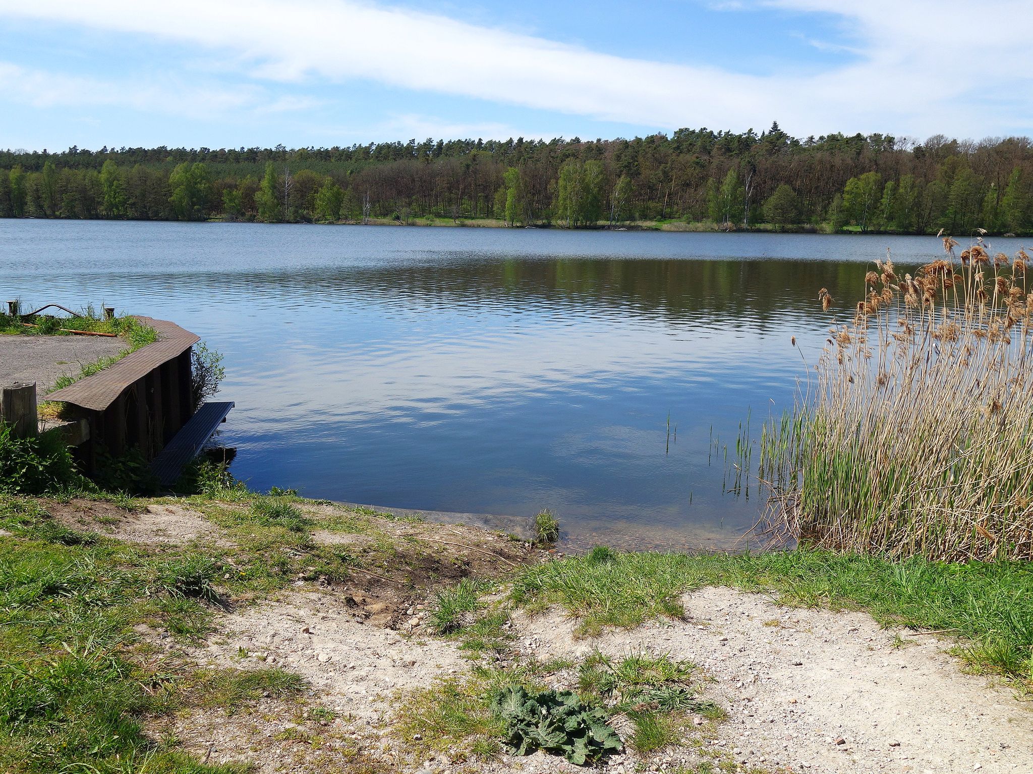 Torfstich Maxsee