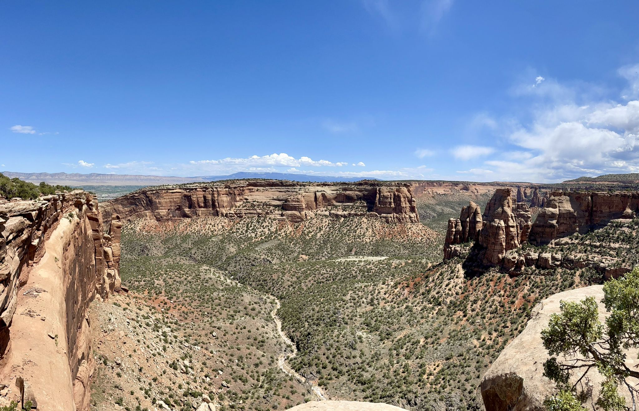 Wide canyon with red rock cliffs, green scrub, and bright blue sky. - Canyon Rim and Window Rock Trail