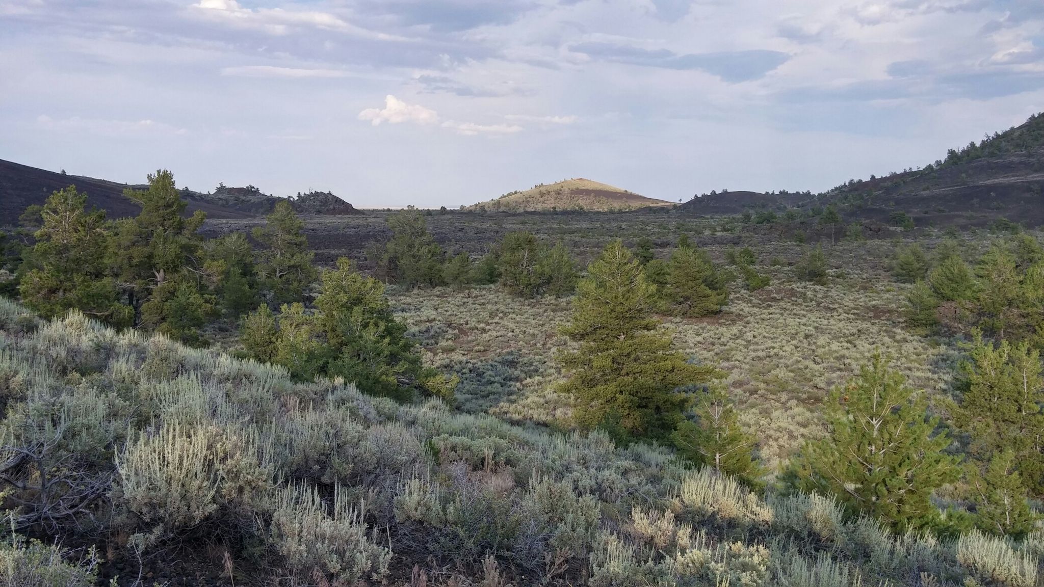 Sagebrush and pine trees in a rocky landscape under a cloudy sky. - Tree Molds Trail