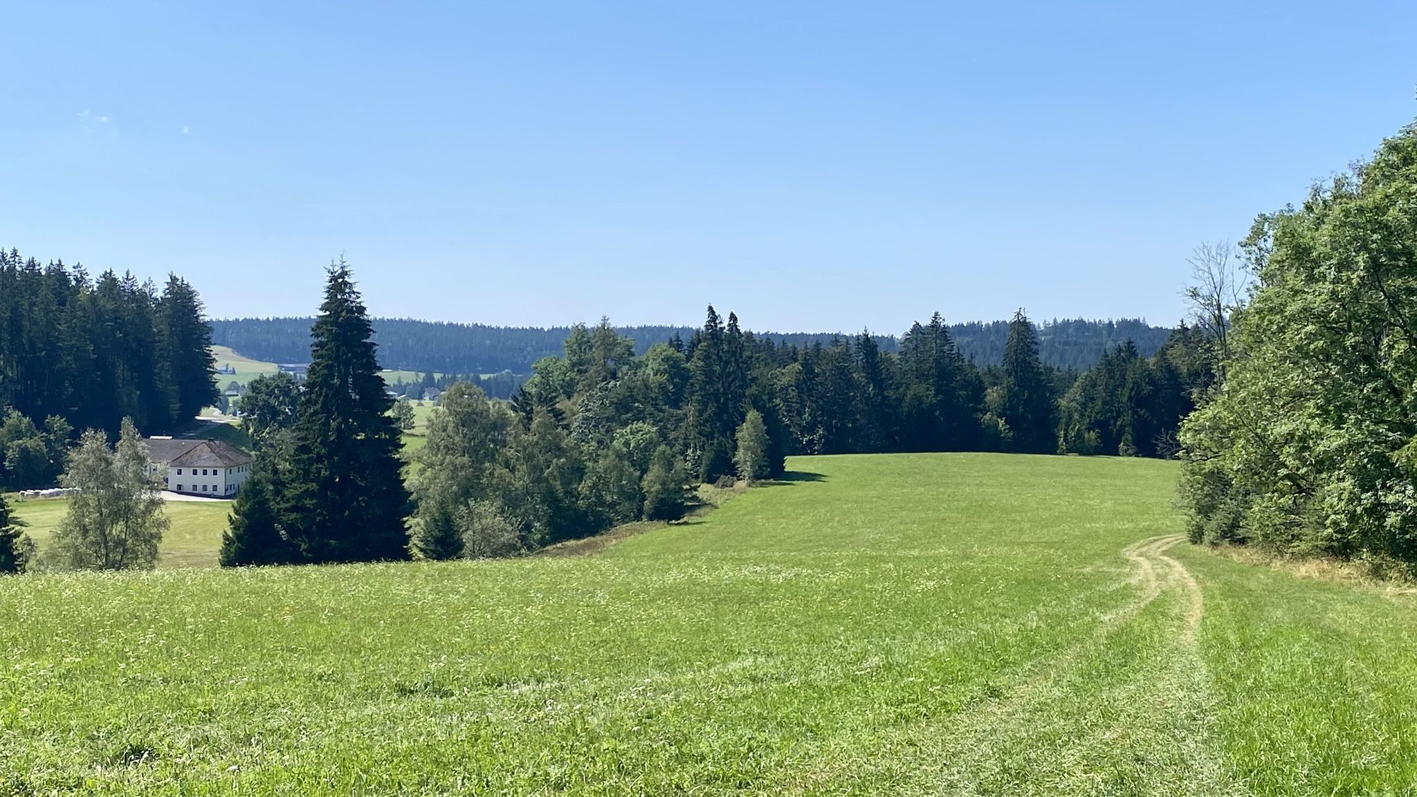 CZ-Seite bei Guglwald