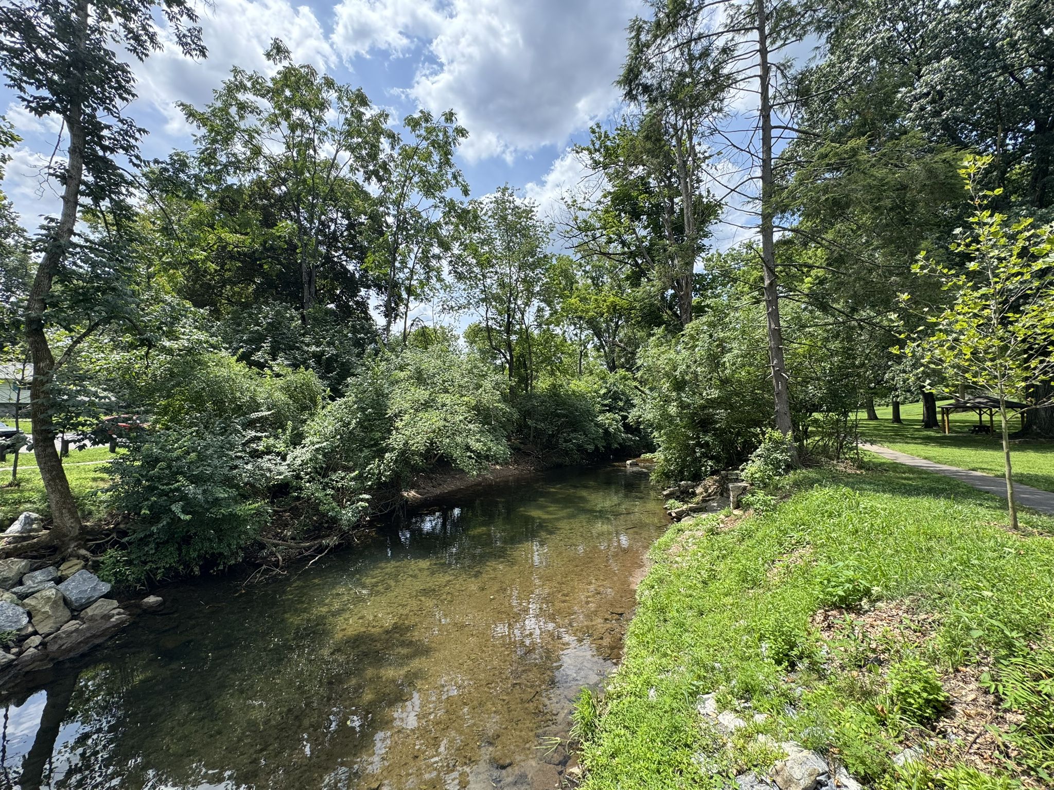 A shallow stream flows through a sunny, green wooded area. - Wyomissing Creek Trail – Skating Pond loop from Reading