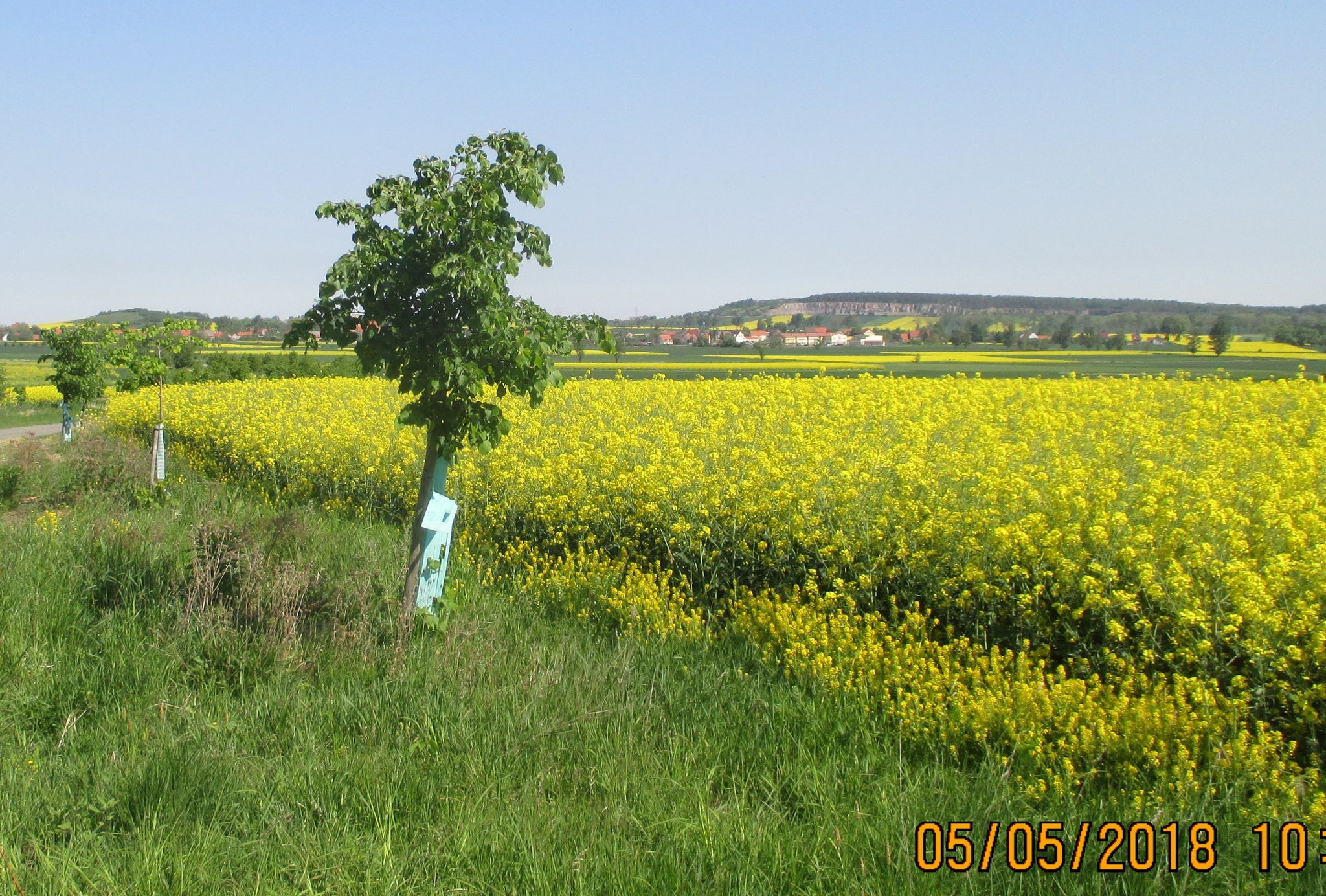 Widok na Męcinkę