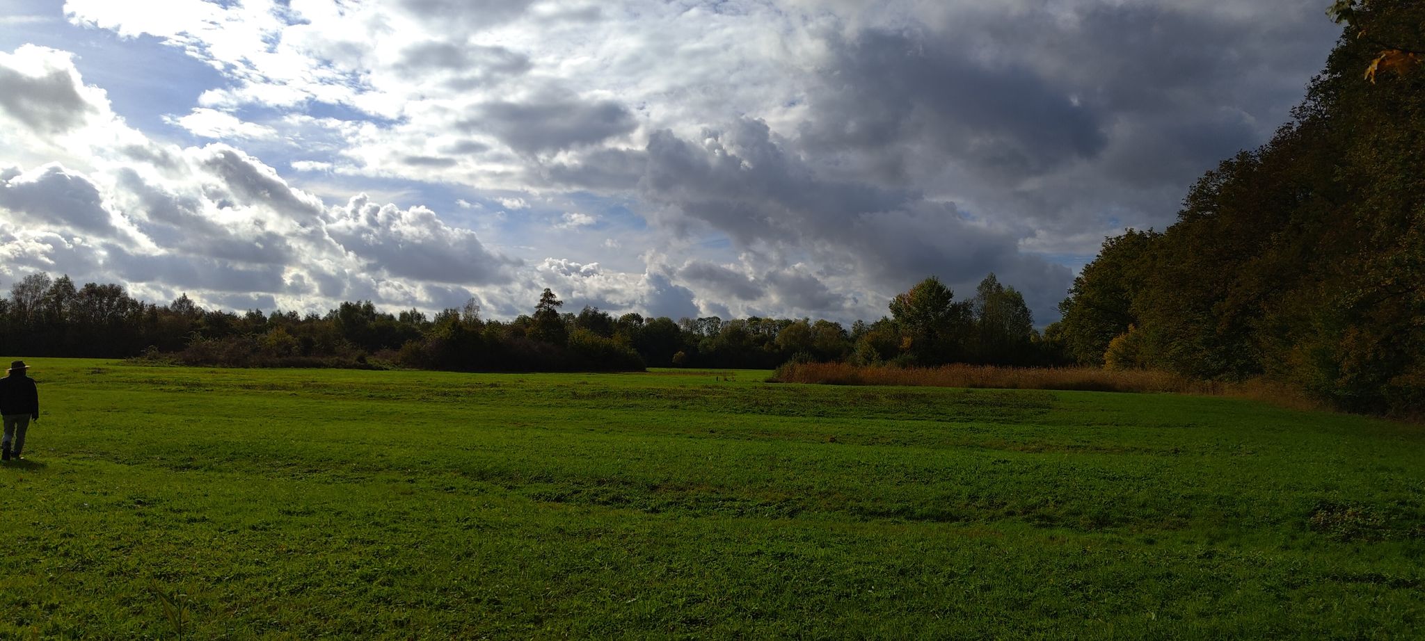 Leemringveld