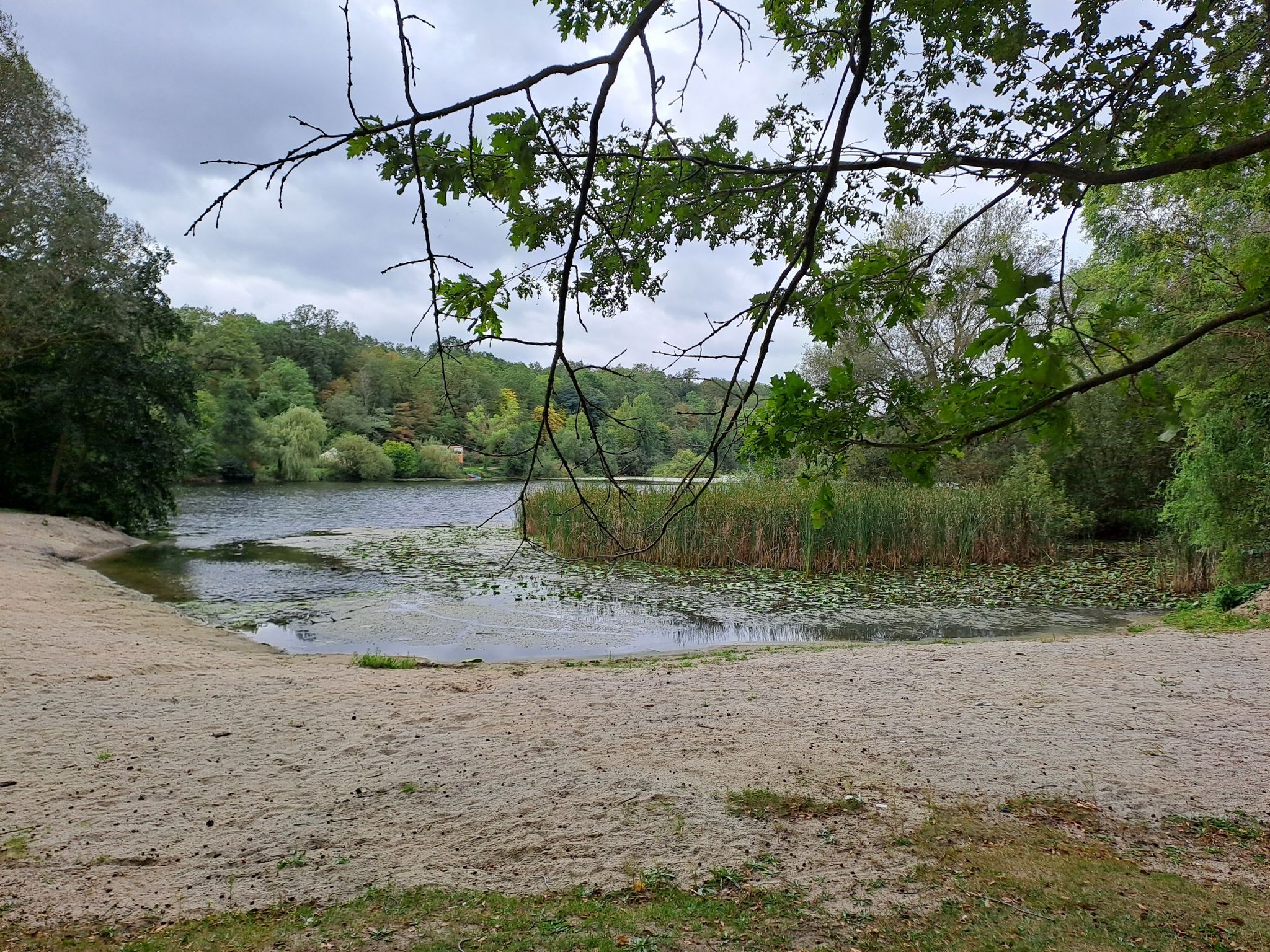 Am Waldsee (Campingplatz)
