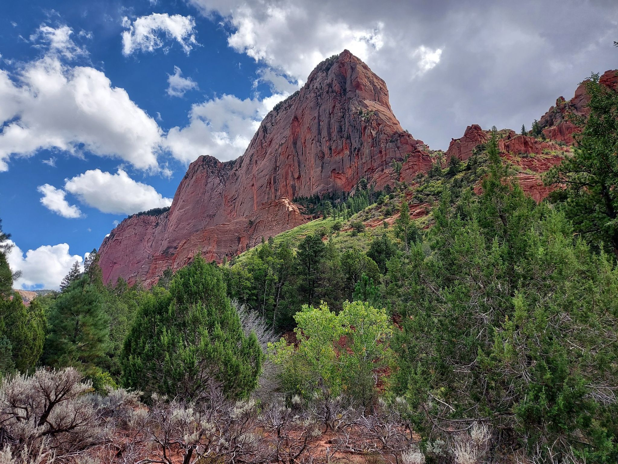 A majestic red rock mountain rises above a forest of green trees under a cloudy sky. - Taylor Creek Trail