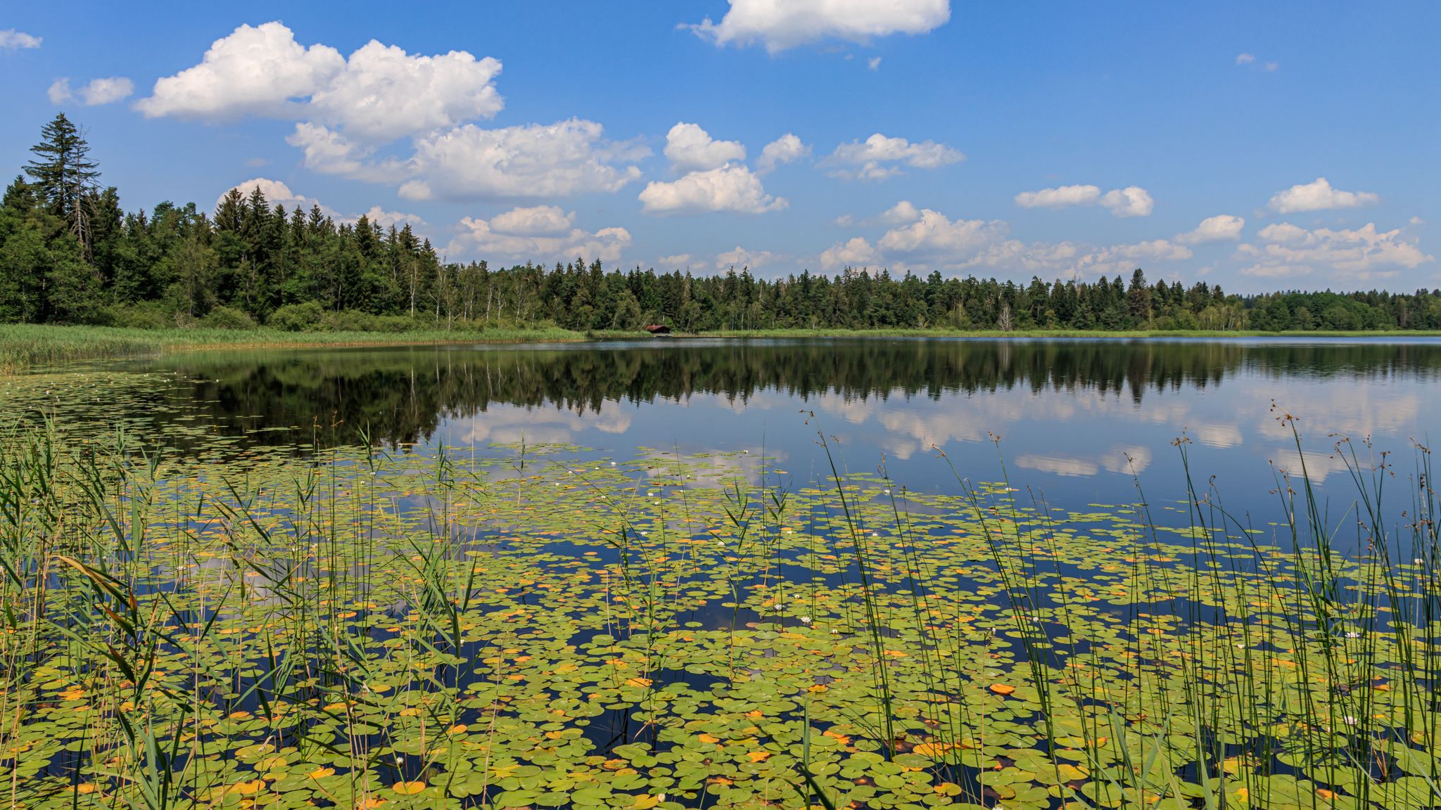 Schreckensee