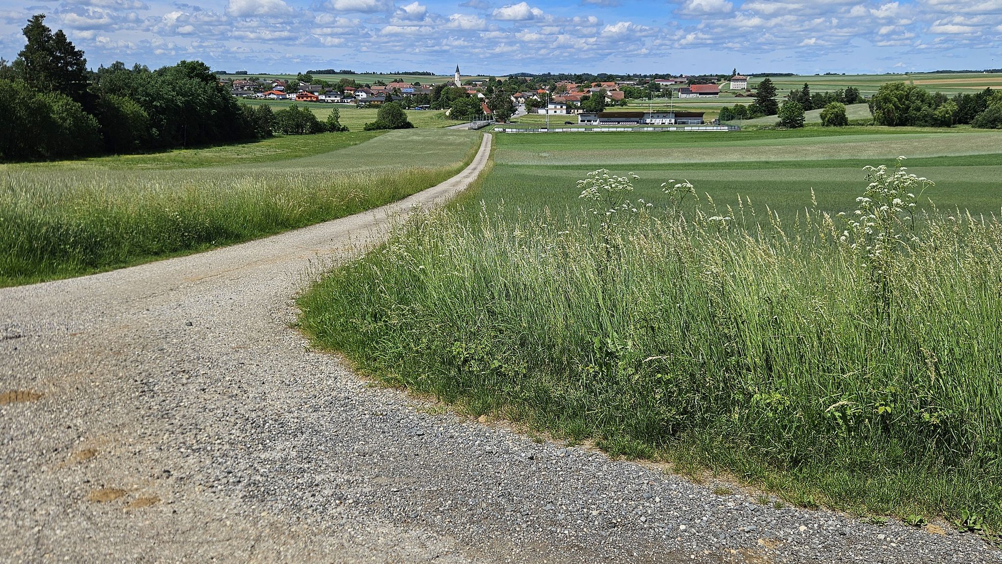 Blick auf Langau