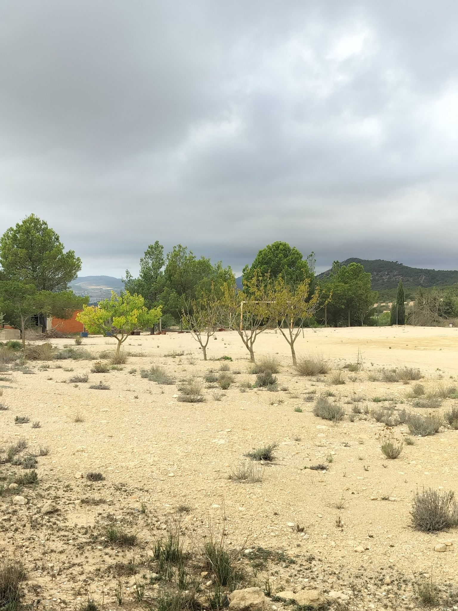 Campo de los Ecuatorianos