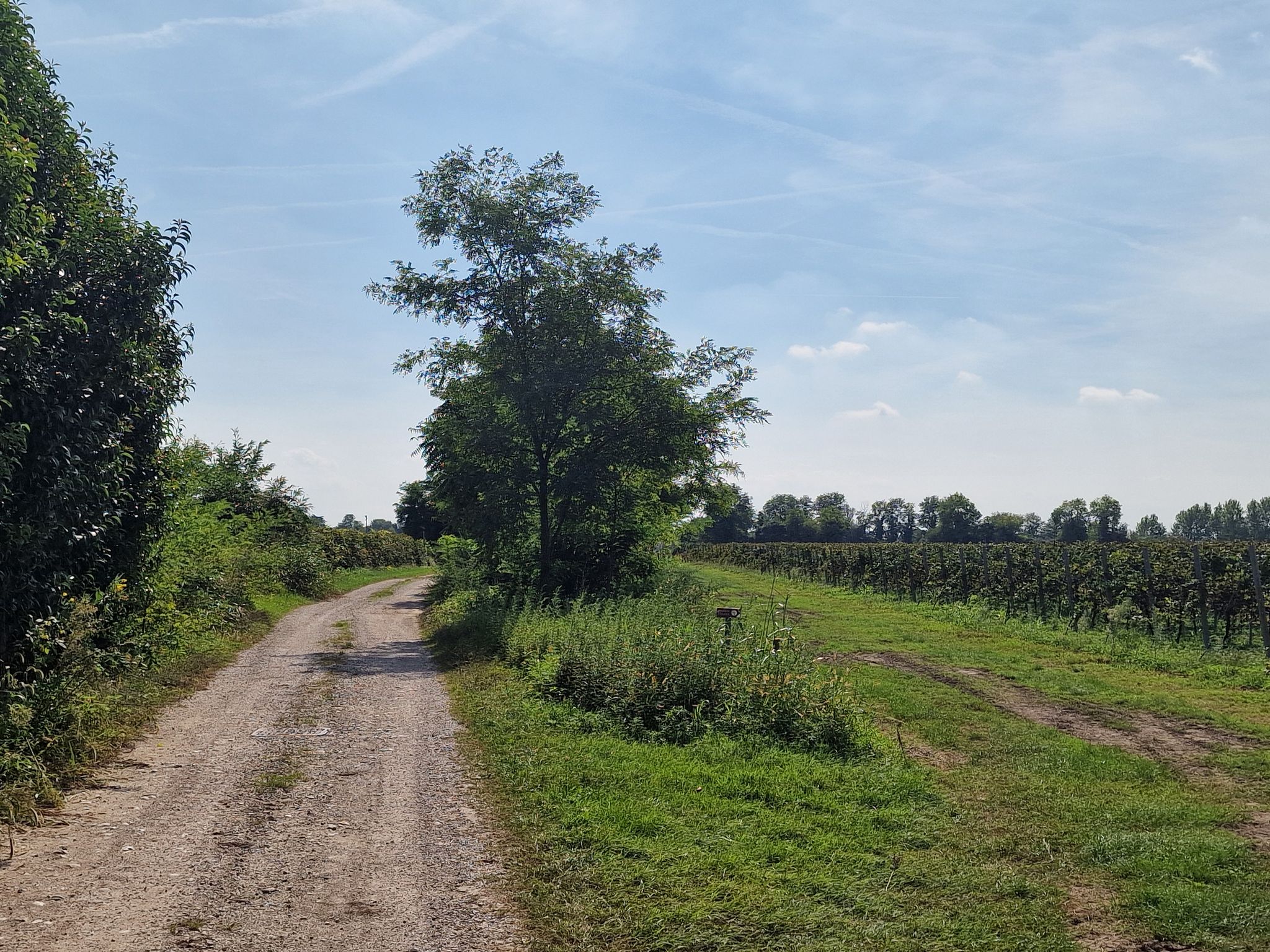 Wegstrecke von San Martino nach Valvasone