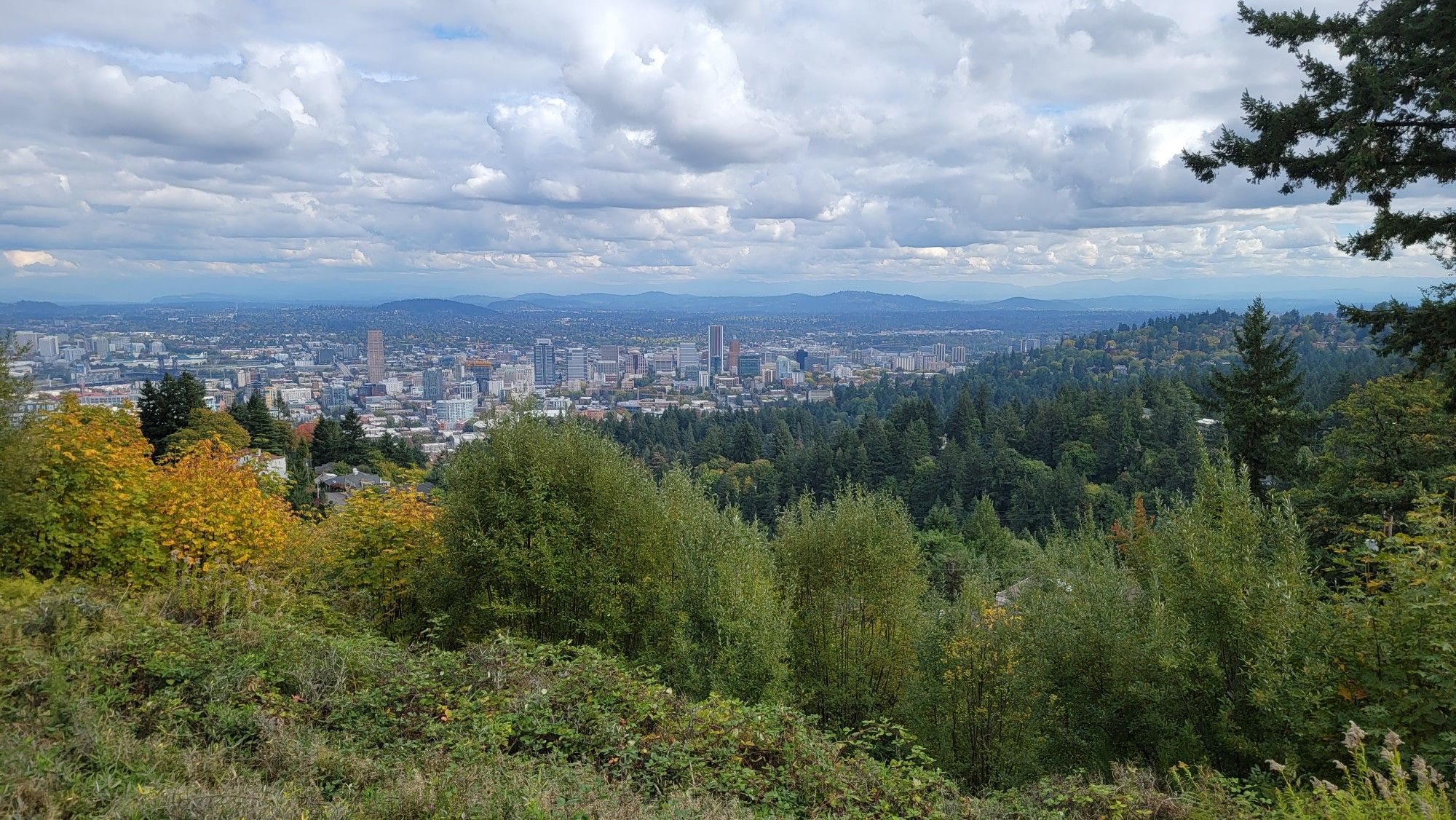 City skyline viewed through green and autumn trees under a cloudy sky. - Pittock Mansion via Wildwood Trail