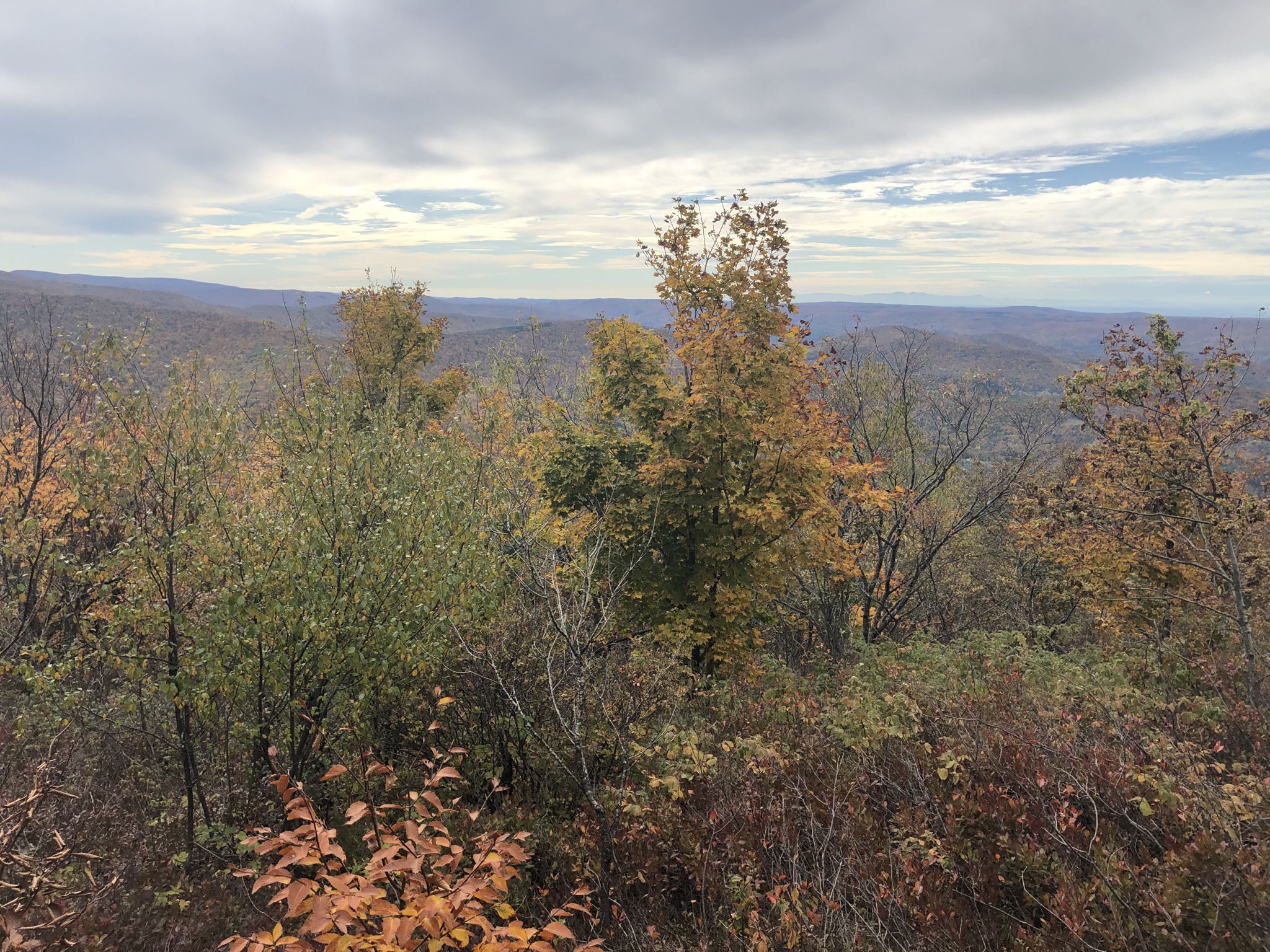 Mountain vista with autumn trees under a cloudy sky. - Taconic Crest Trail to White Rock and Snow Hole