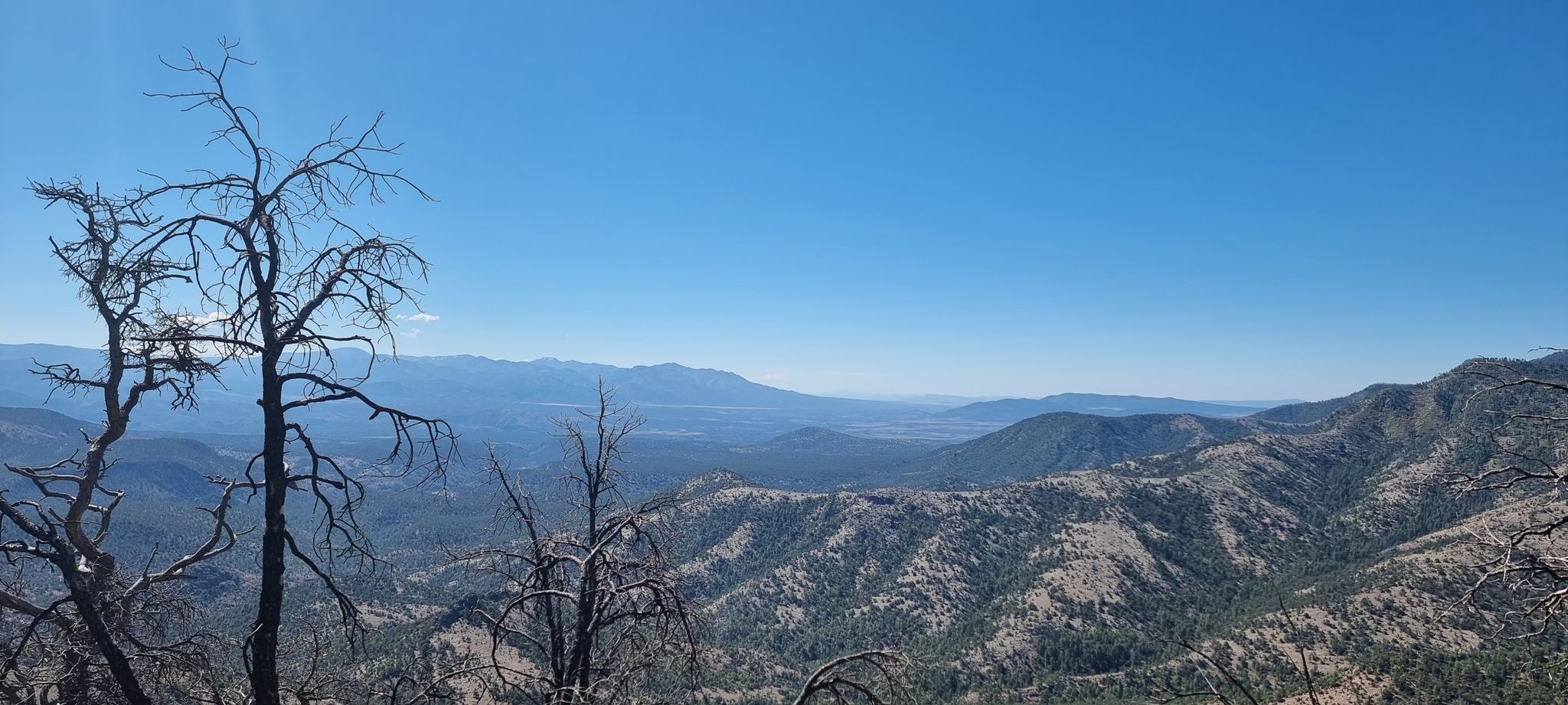 Bare trees frame a vast mountain landscape under a clear blue sky. - Tige Rim and Bonanza Bill Trail Loop