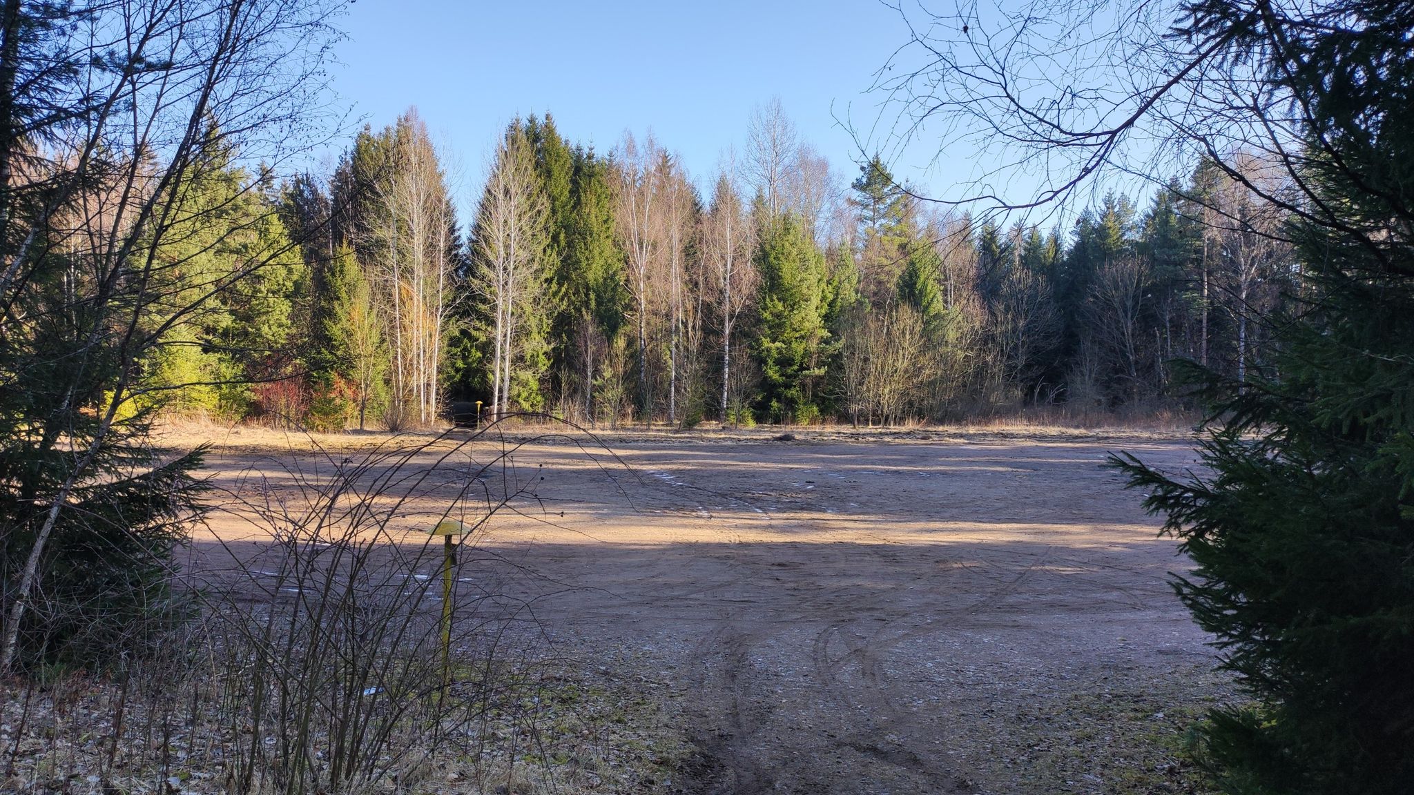 Grüner Platz