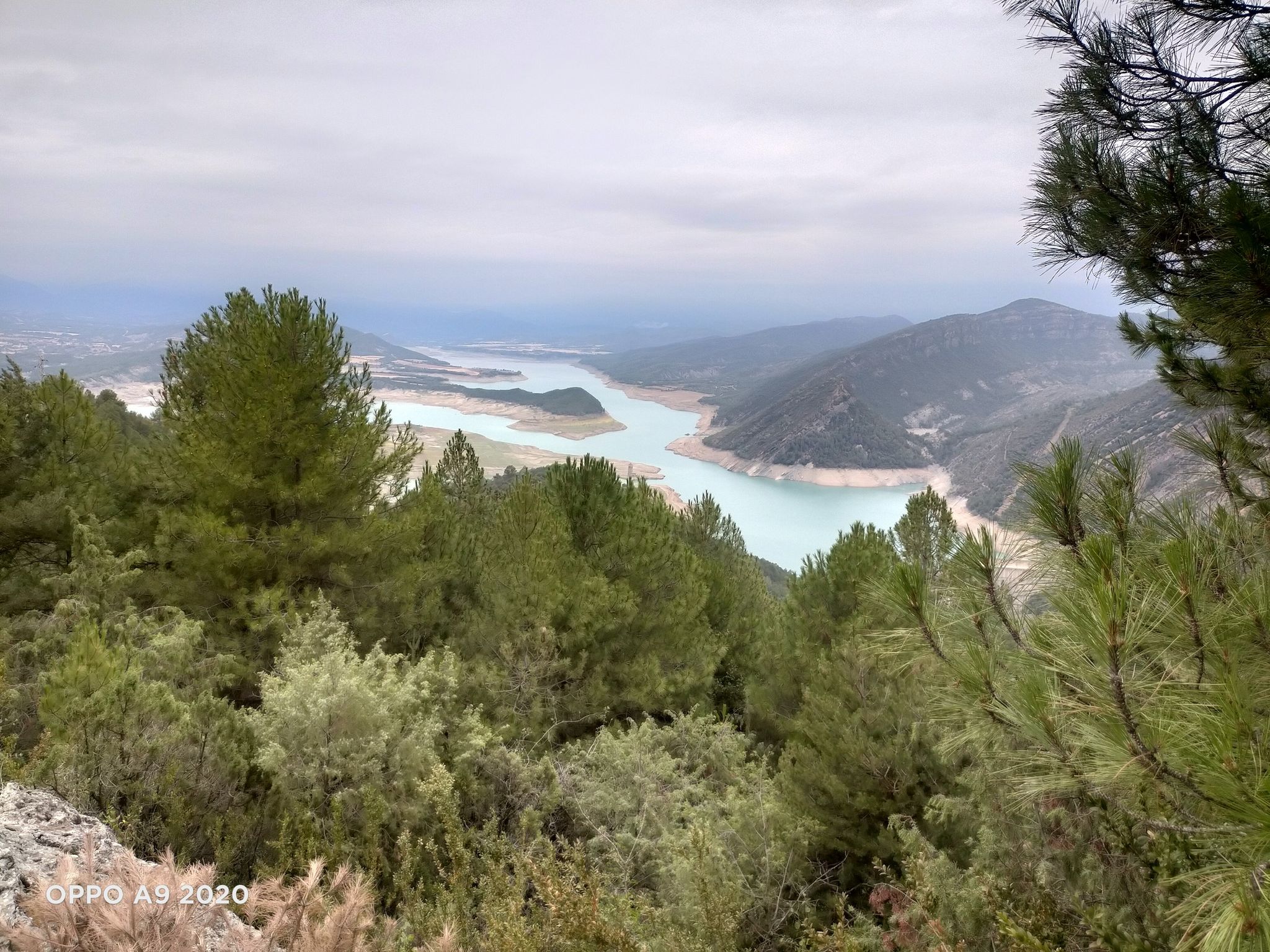 pantano de median