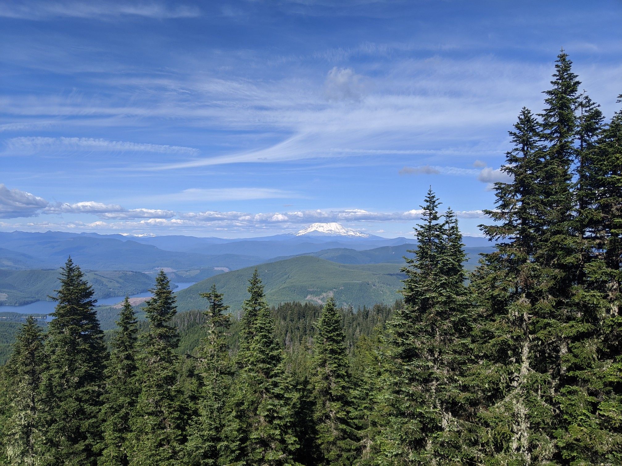 Expansive mountain view with dense forest, distant snowy peak, and blue sky. - Siouxon & Huffman Peak Loop – Gifford Pinchot National Forest