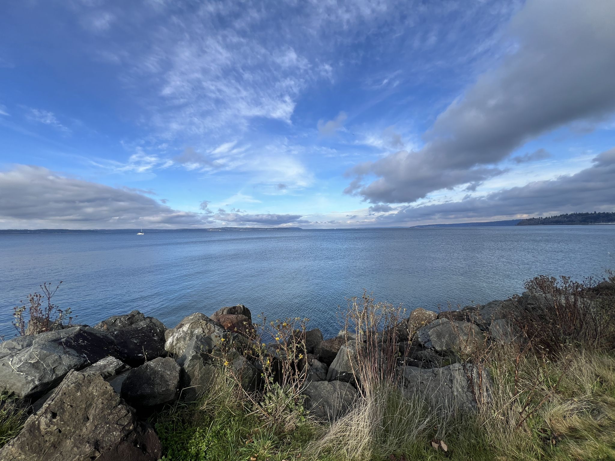 Wide blue water under a cloudy sky, with rocks and dry grass. - Discovery Park and Magnolia Loop