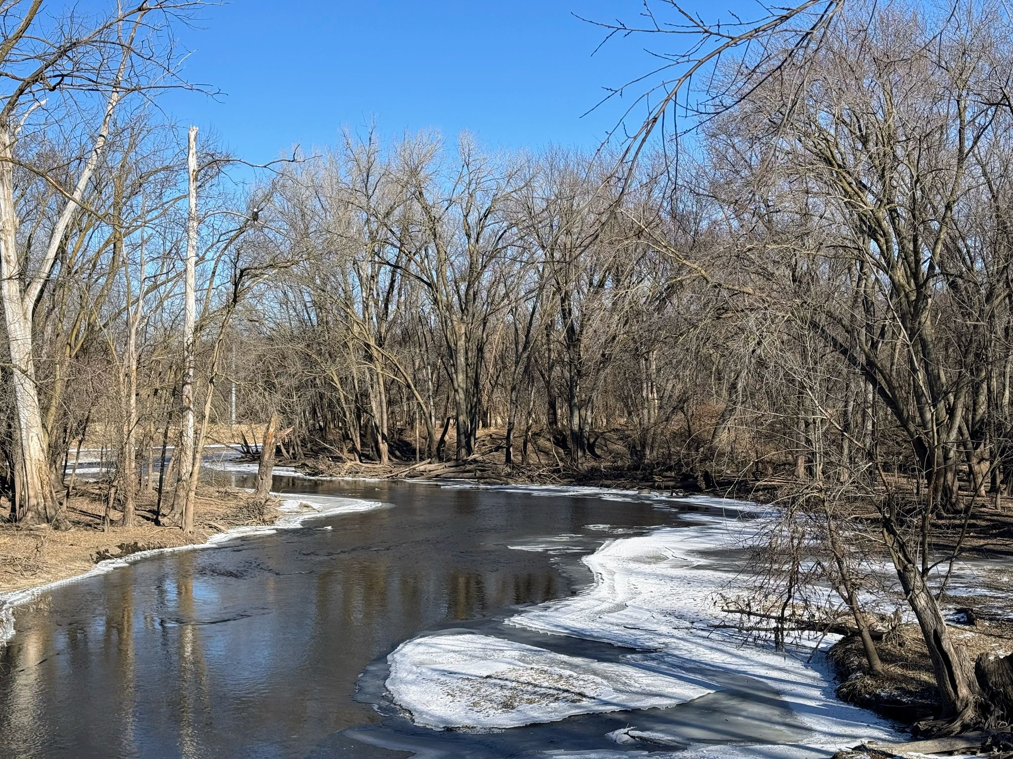 The Cannon River flowing to join the Straight River