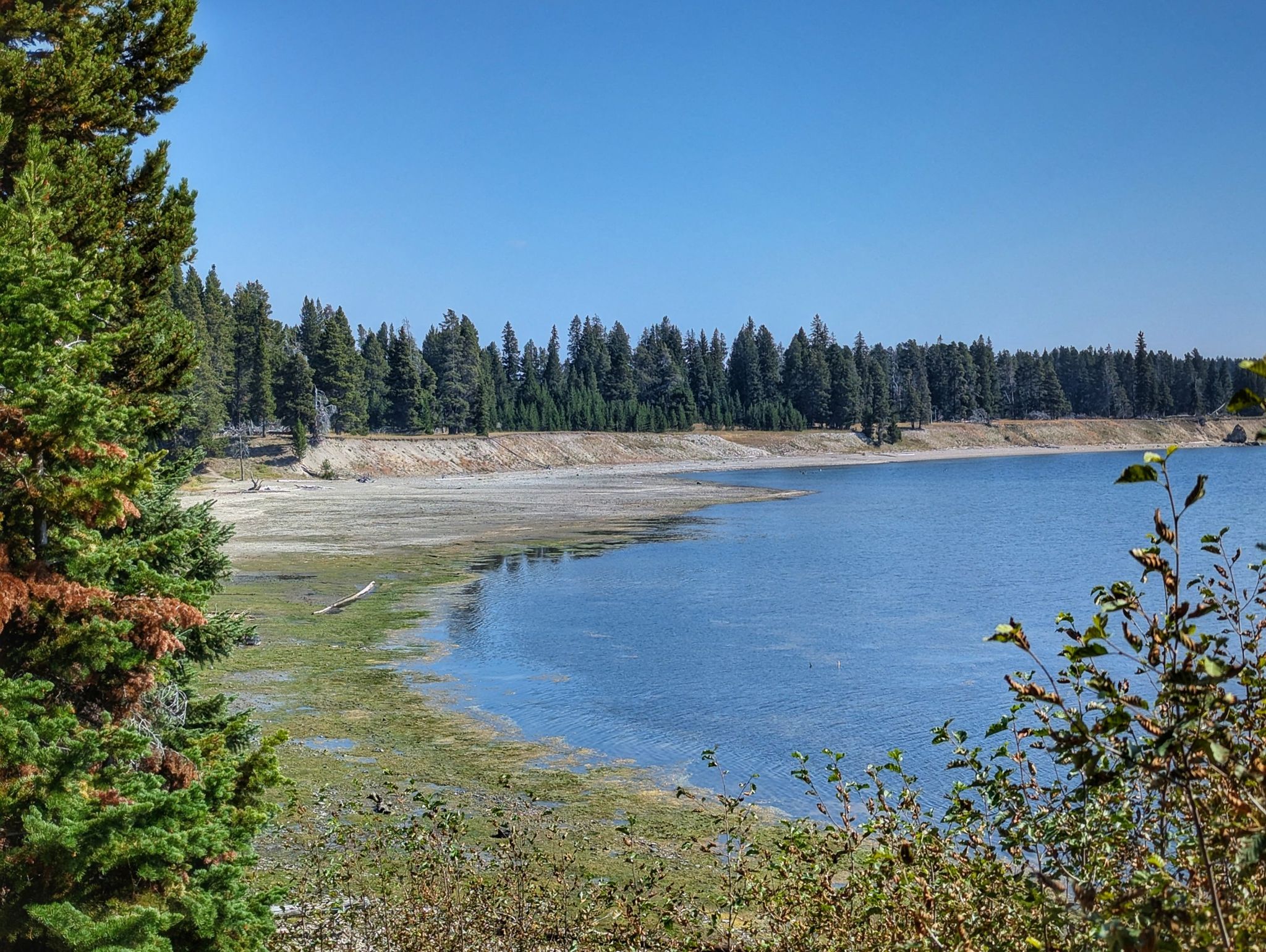 Wide view of a lake shoreline with forest and clear blue sky. - Indian Pond loop from Indian Pond