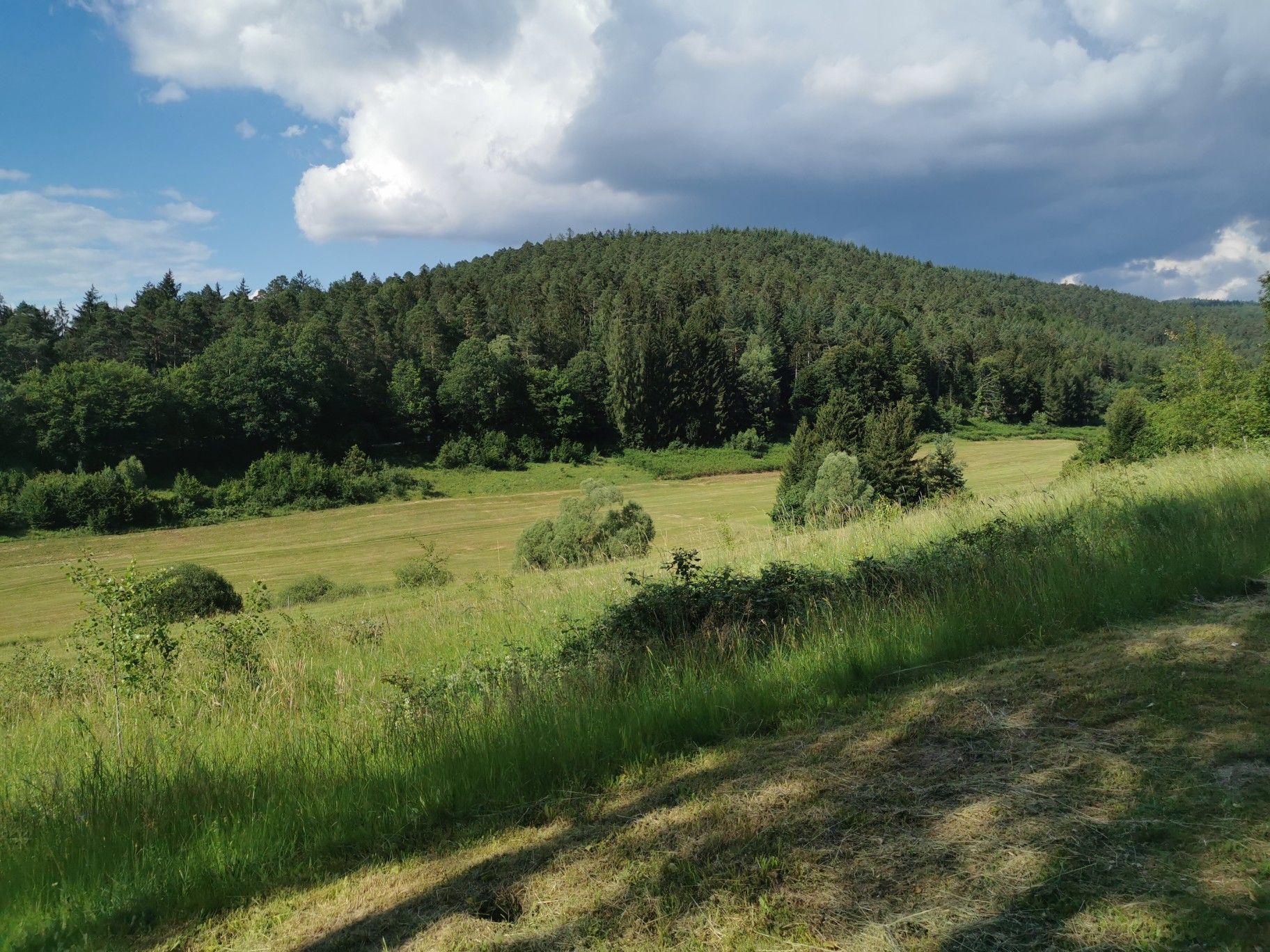 Rinderbachtal