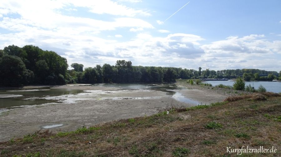 trockener Rheinarm bei Germersheim