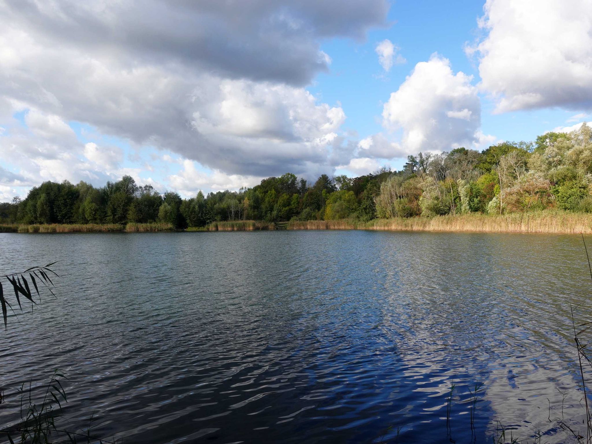 Kiessee 1