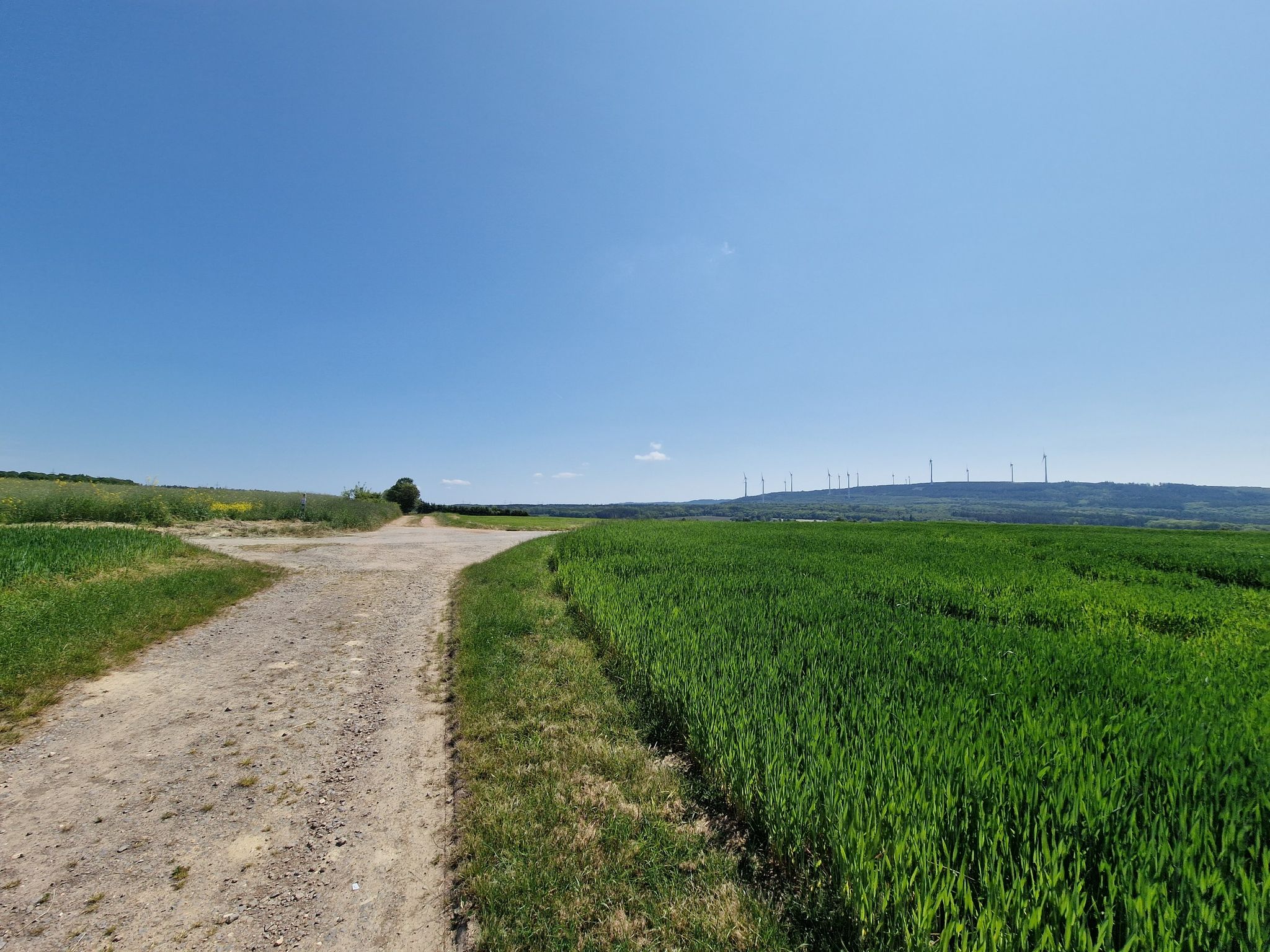 Natur