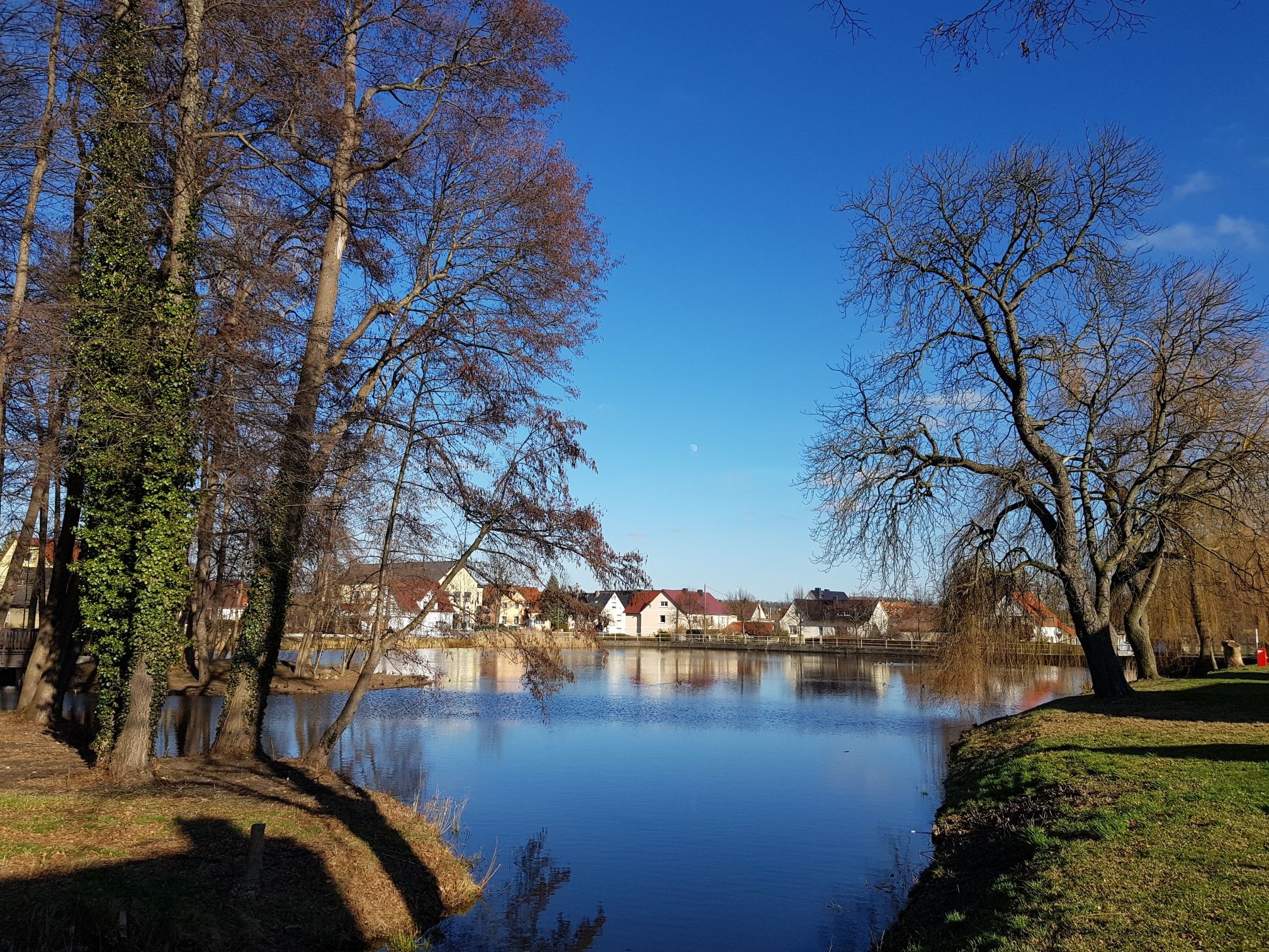 Dorfteich Räckelwitz