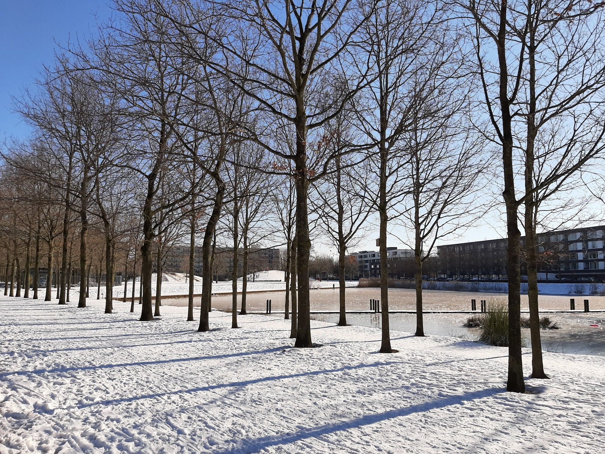 Westerpark sneeuwpret