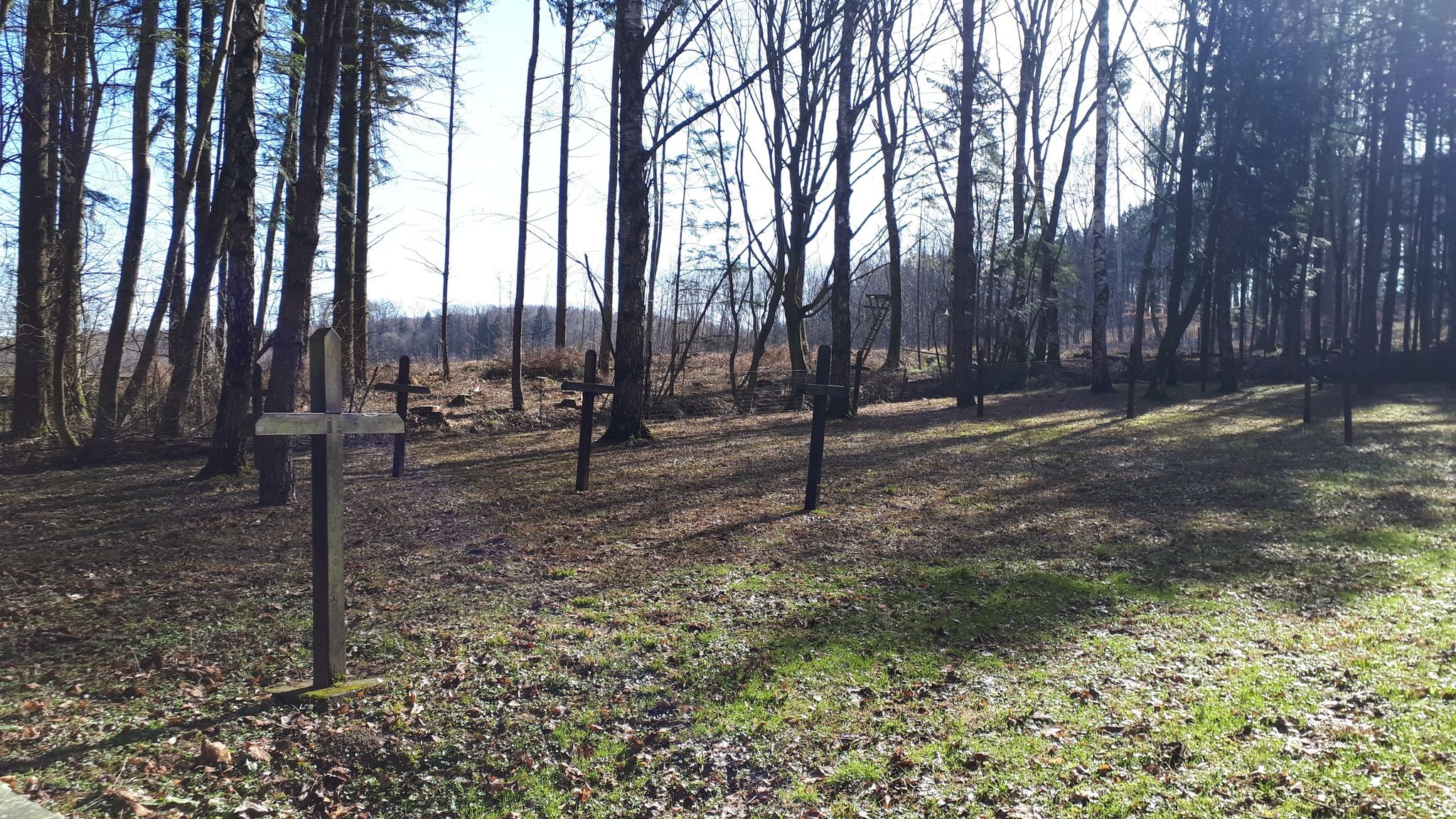 Lagerfriedhof Wieselburg