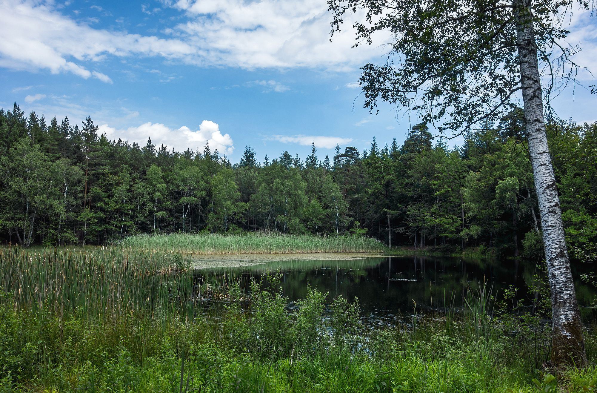 Der Baunachsee