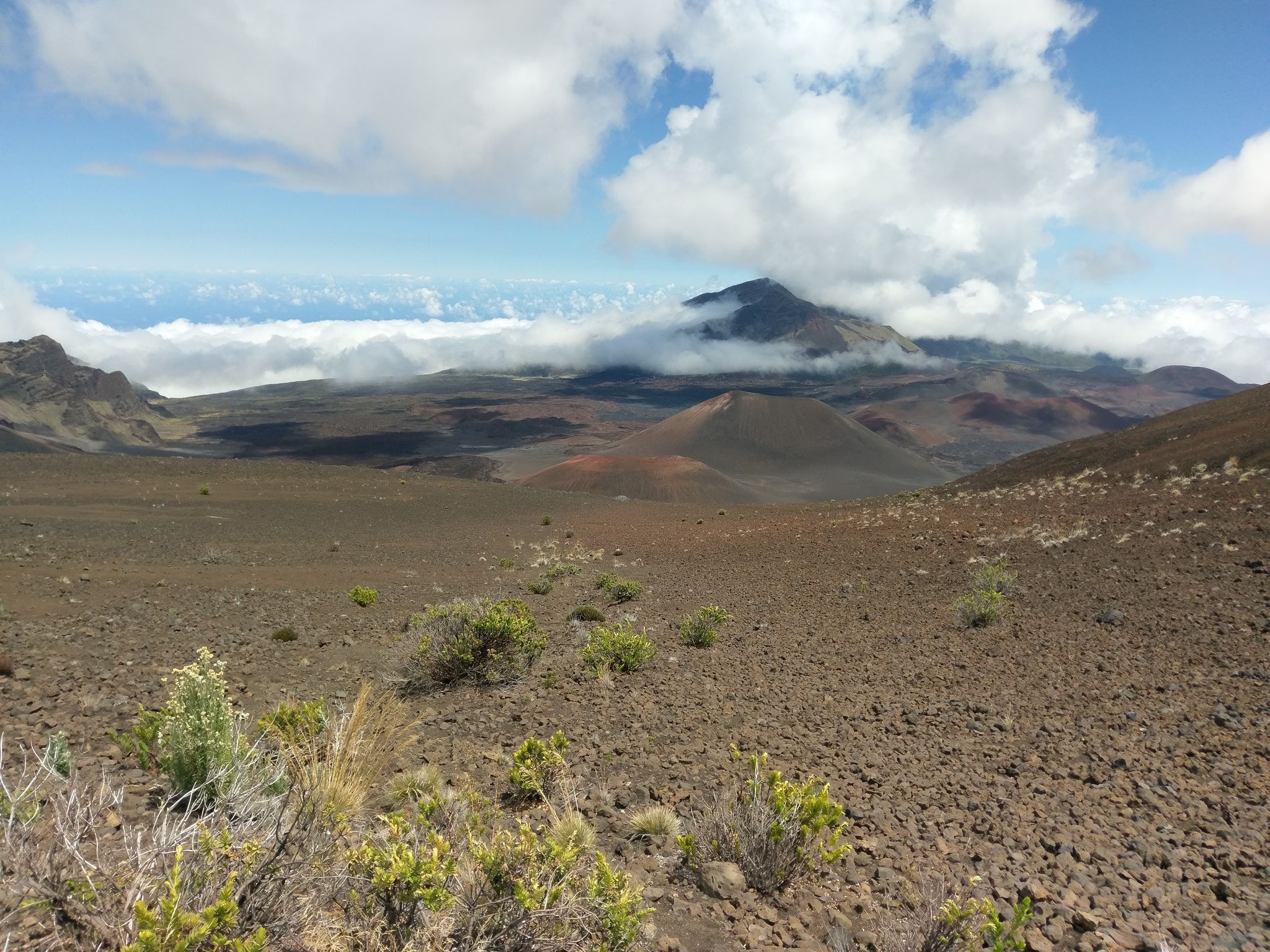 Expansive rocky landscape with sparse vegetation, distant mountains, and cloudy sky. - Pā Ka’oao Overlook and Keonehe’ehe’e (Shifting Sands) Trail – Haleakalā National Park