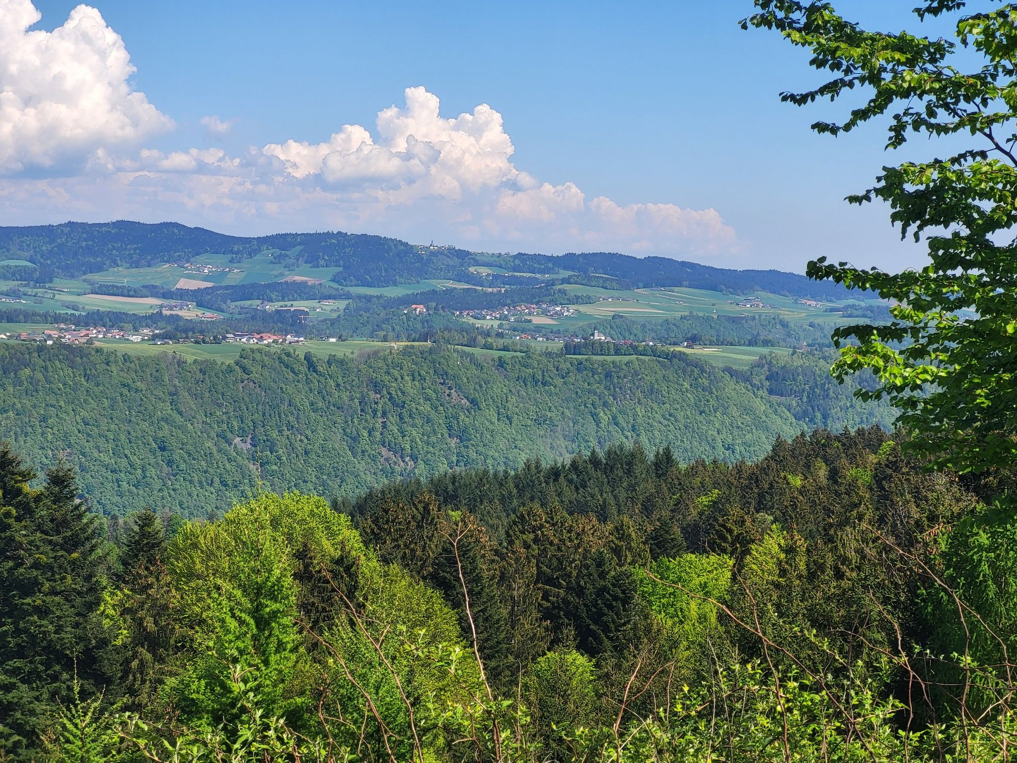 Weitblick ins Mühlviertel