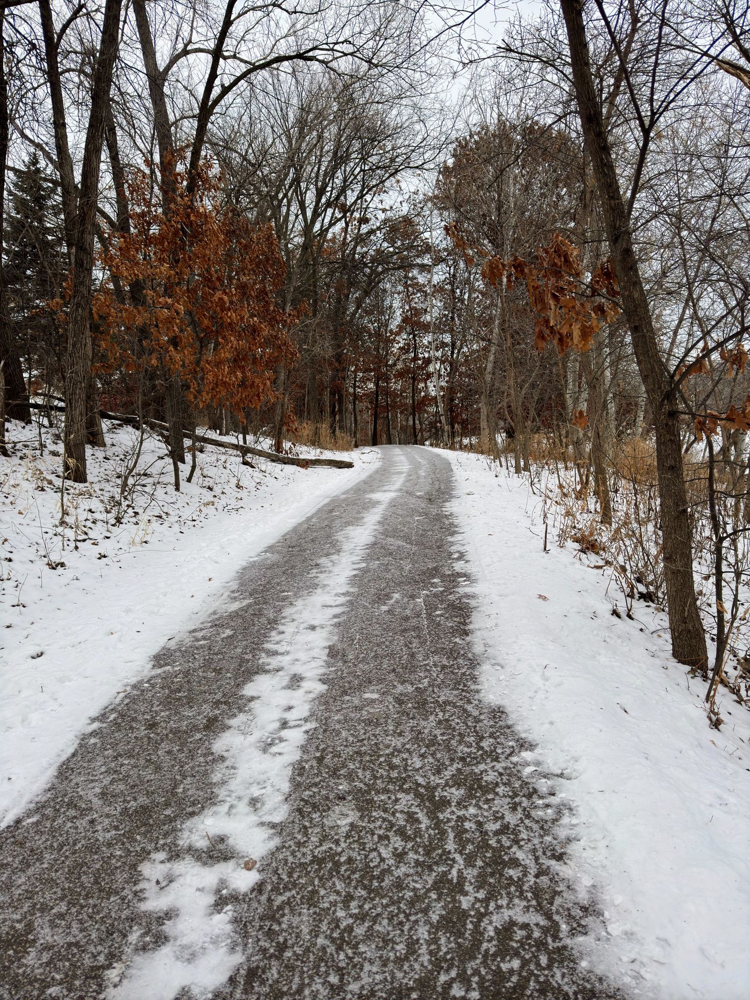 A snow-dusted paved path winds through a winter forest under an overcast sky. - Langton Lake Park loop