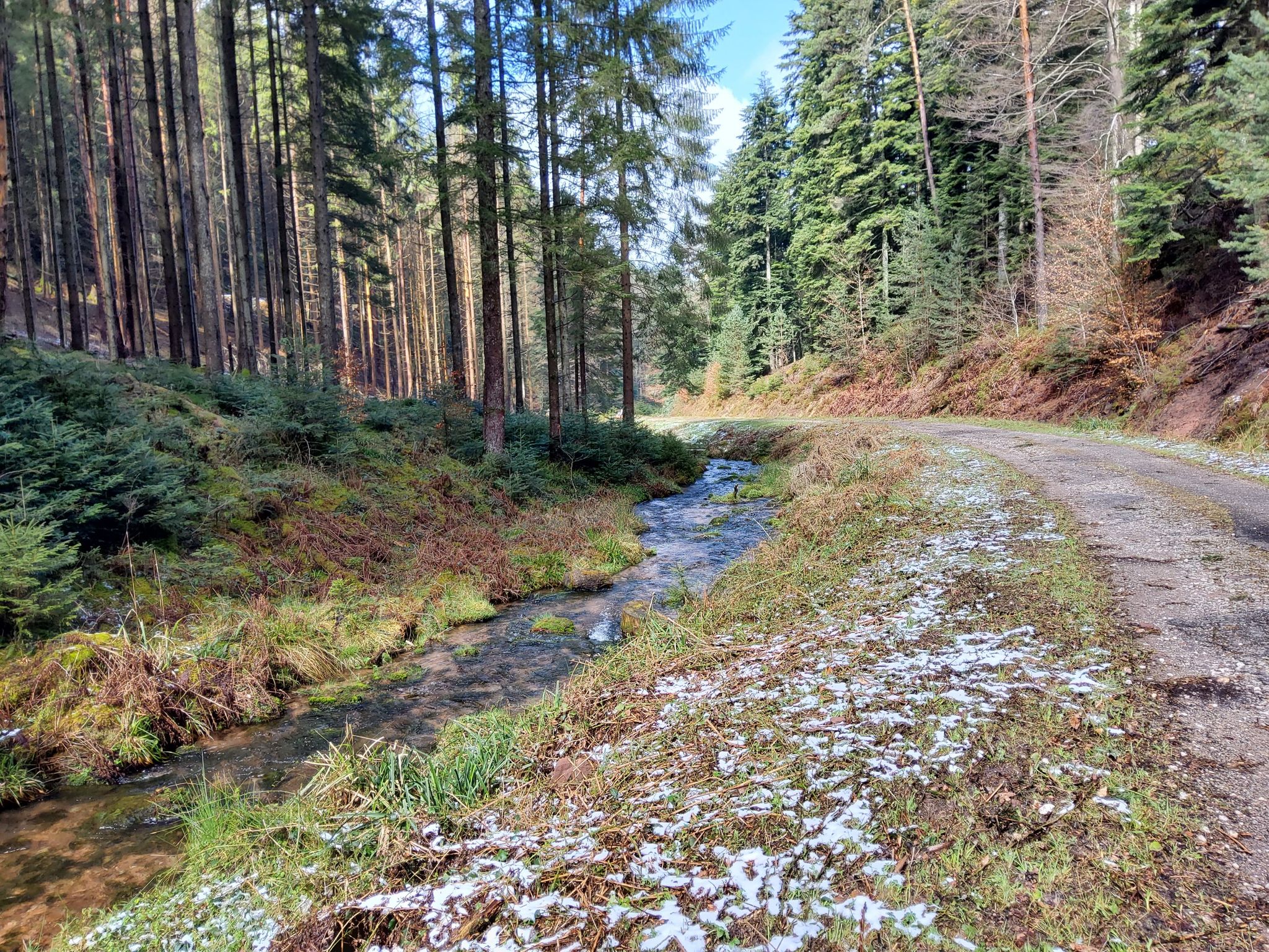 Zorn blanche (weiße Zorn)