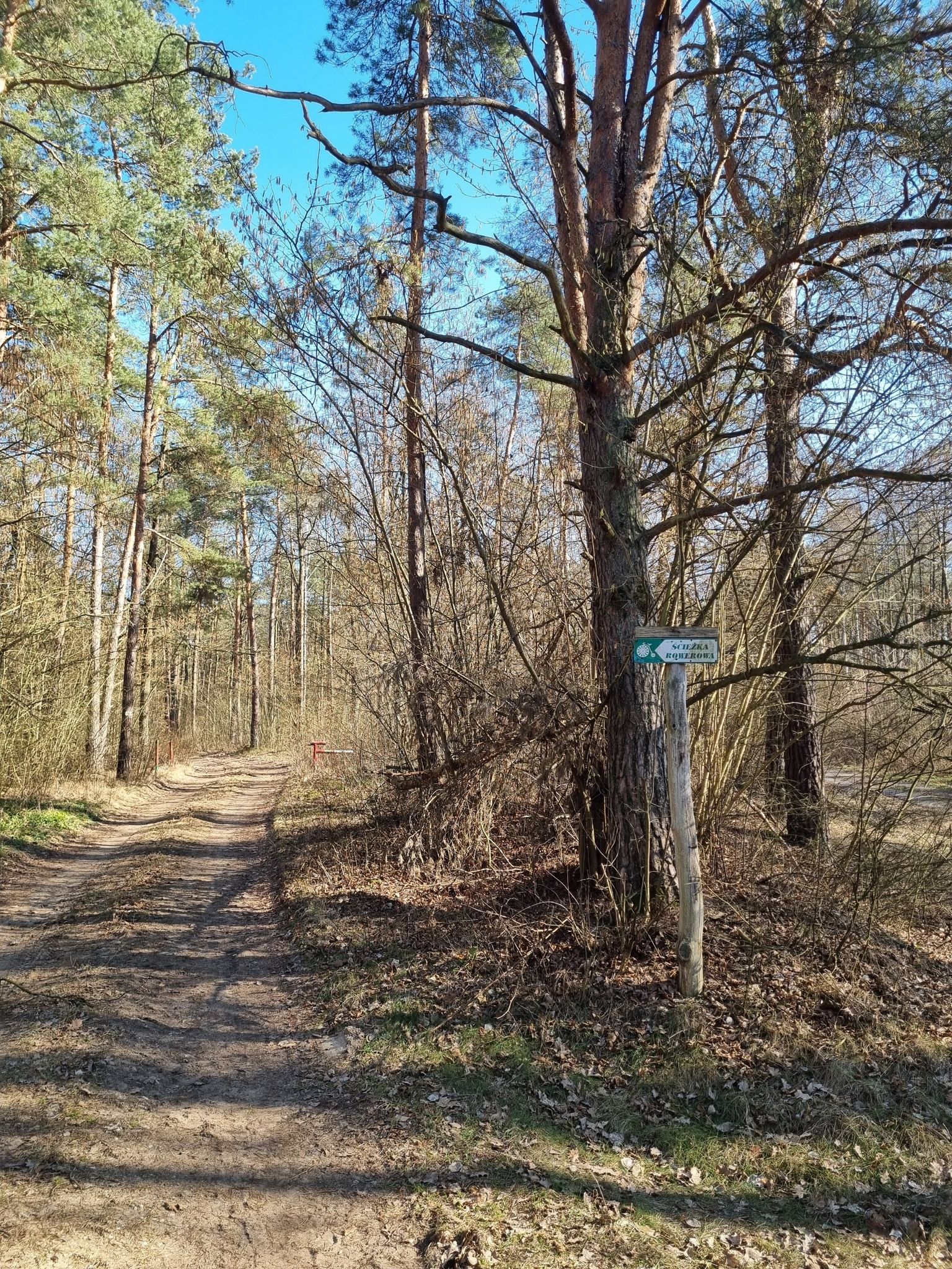 początek ścieżki rowerej