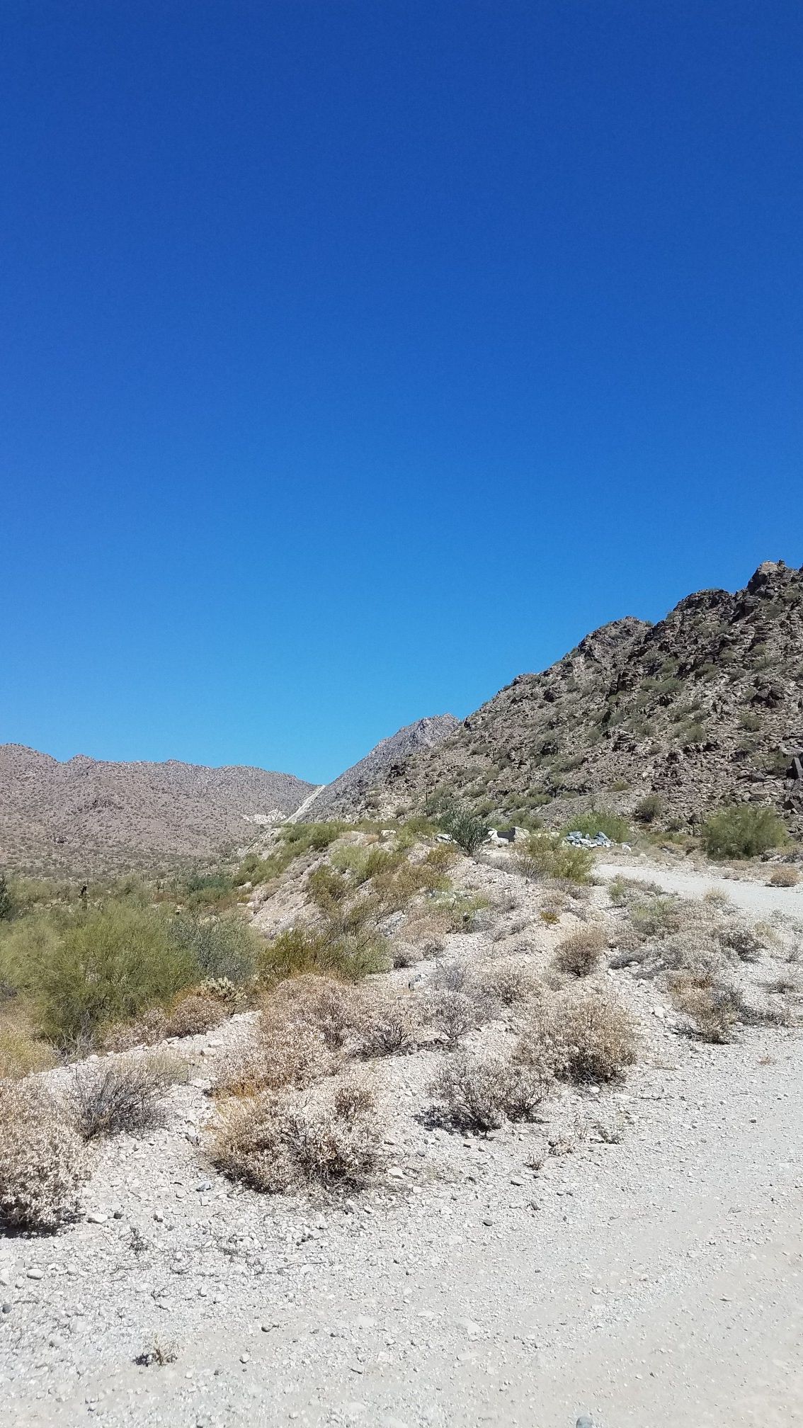 Arid desert landscape with rocky mountains, sparse bushes, and a clear blue sky. - Cat Hill Trail