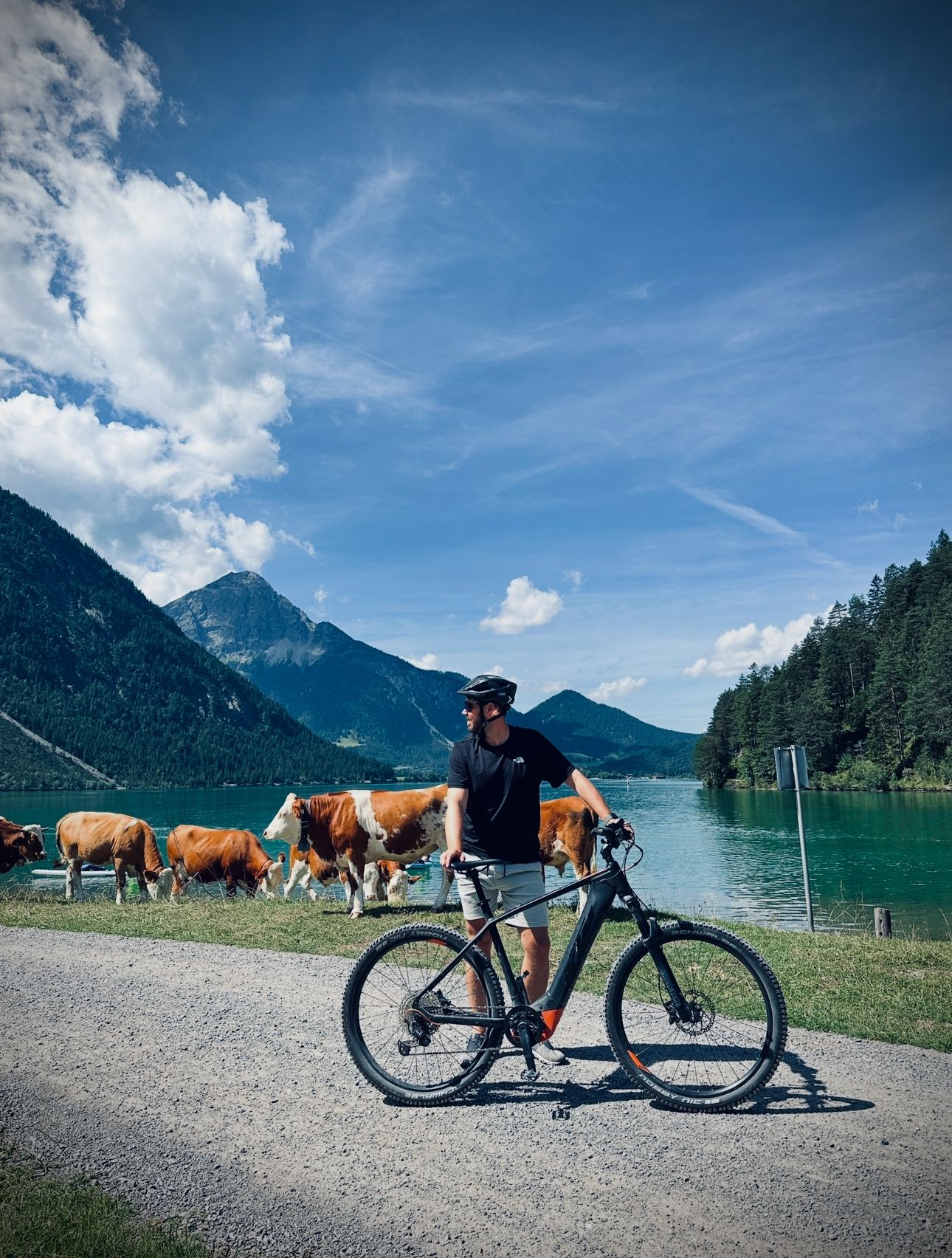 cube reaction hybrid race 750 schutzblech Fahrrad Set für SLT 2023, Vorne Hinten Fahrradschutzblech, Verstellbarer Schutzbleche Mountainbike/Rennrad, TopHomer 2PCS Desk 10 Größe:26 ZOLL Lectric XP Trike