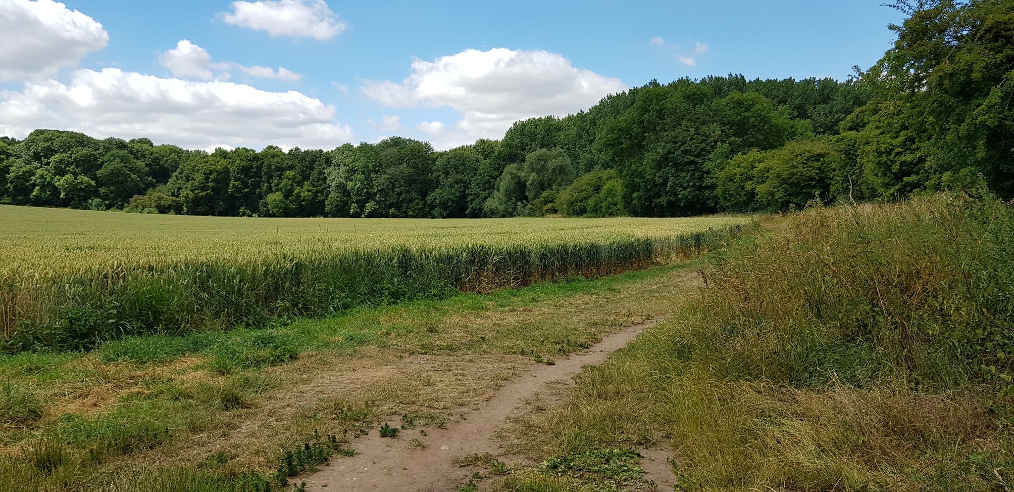 path out of Burton