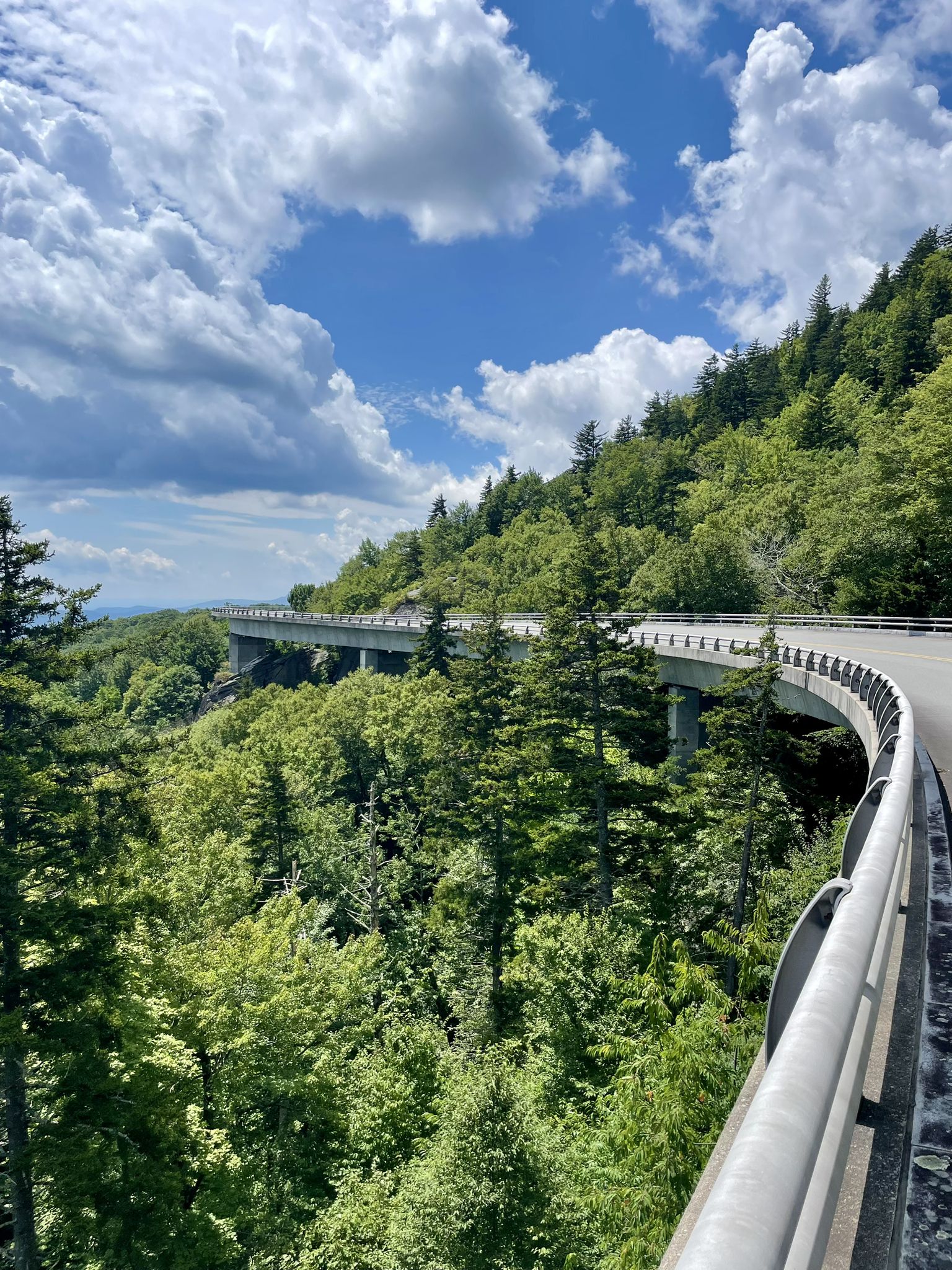Curved concrete bridge over a dense green forest under a partly cloudy sky. - Rough Ridge Overlook – Pilot Ridge Overlook loop from Rich Mountain