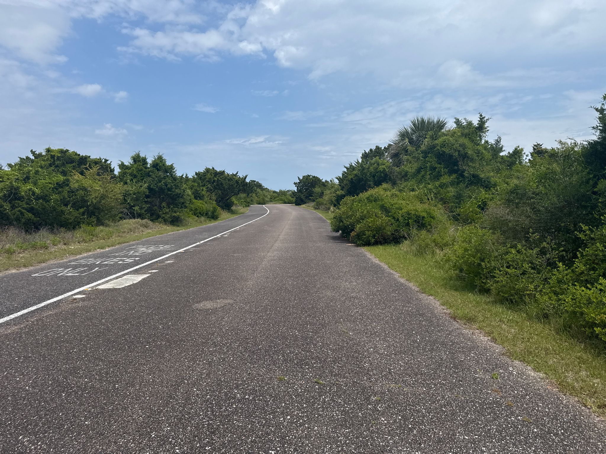 Paved road curving through dense green bushes under a partly cloudy sky. - Timucan Multi-Use Trail