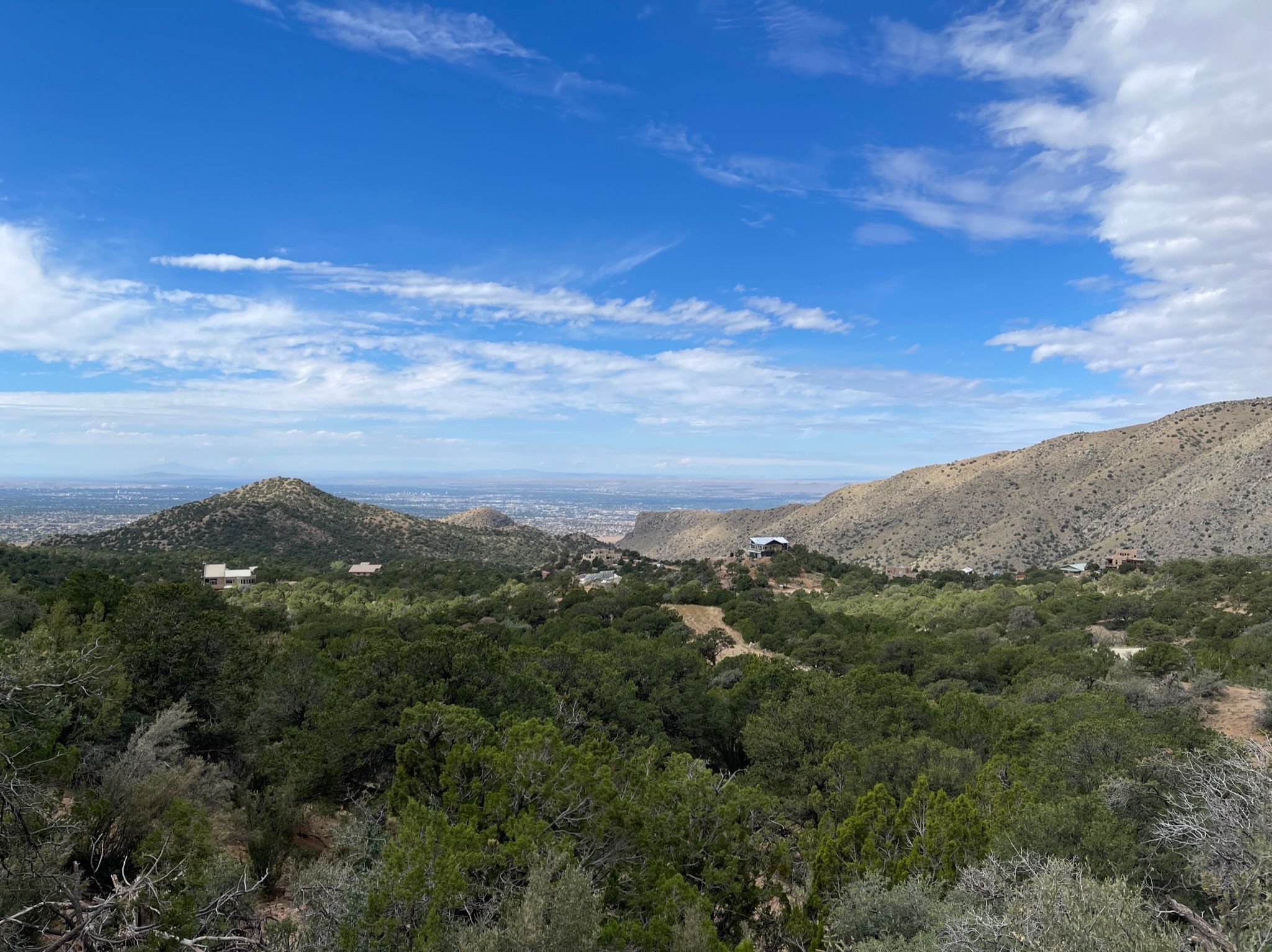 Expansive mountain landscape with green trees and distant city under blue sky. - Piedra Lisa South Trail